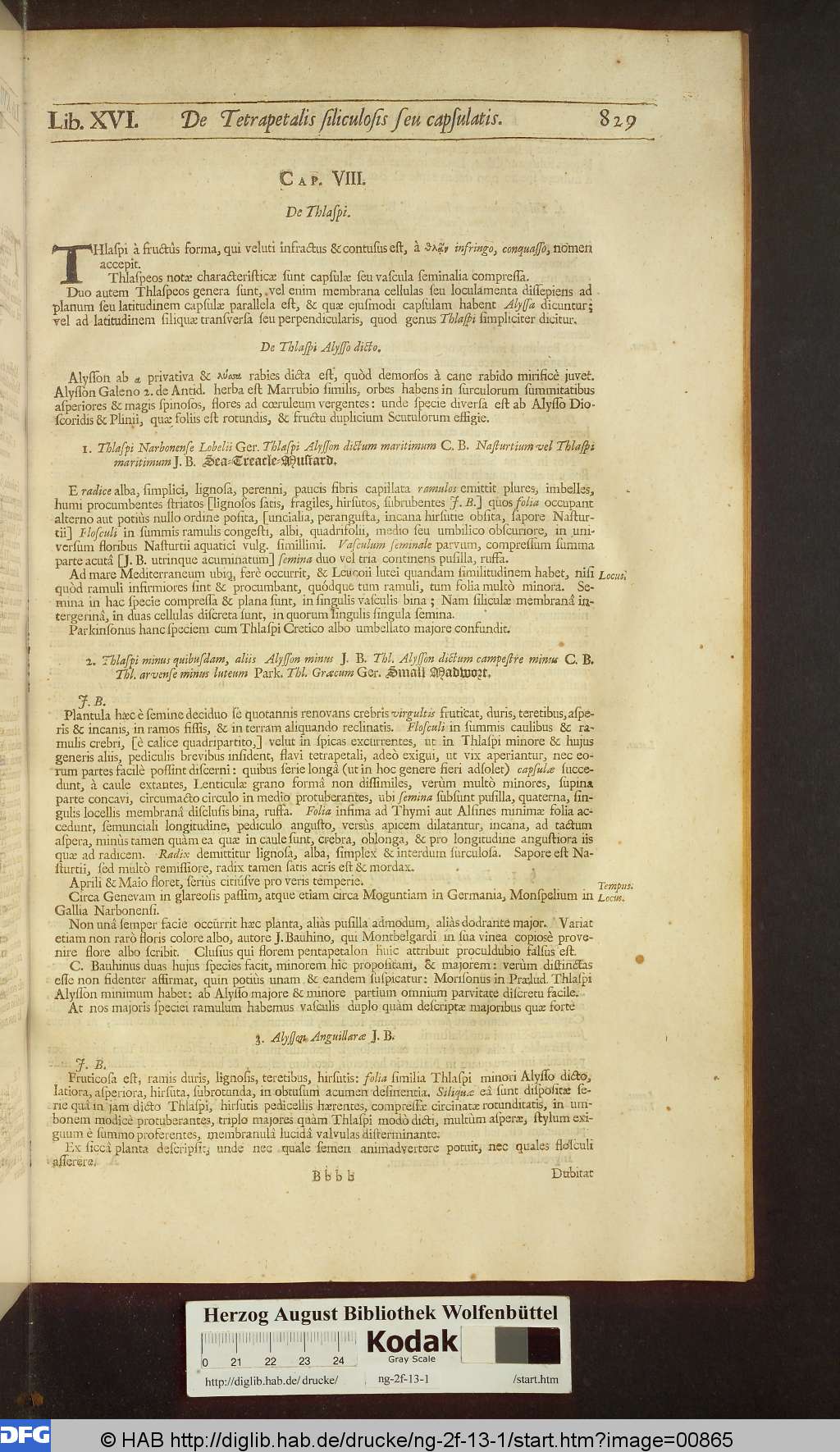 http://diglib.hab.de/drucke/ng-2f-13-1/00865.jpg