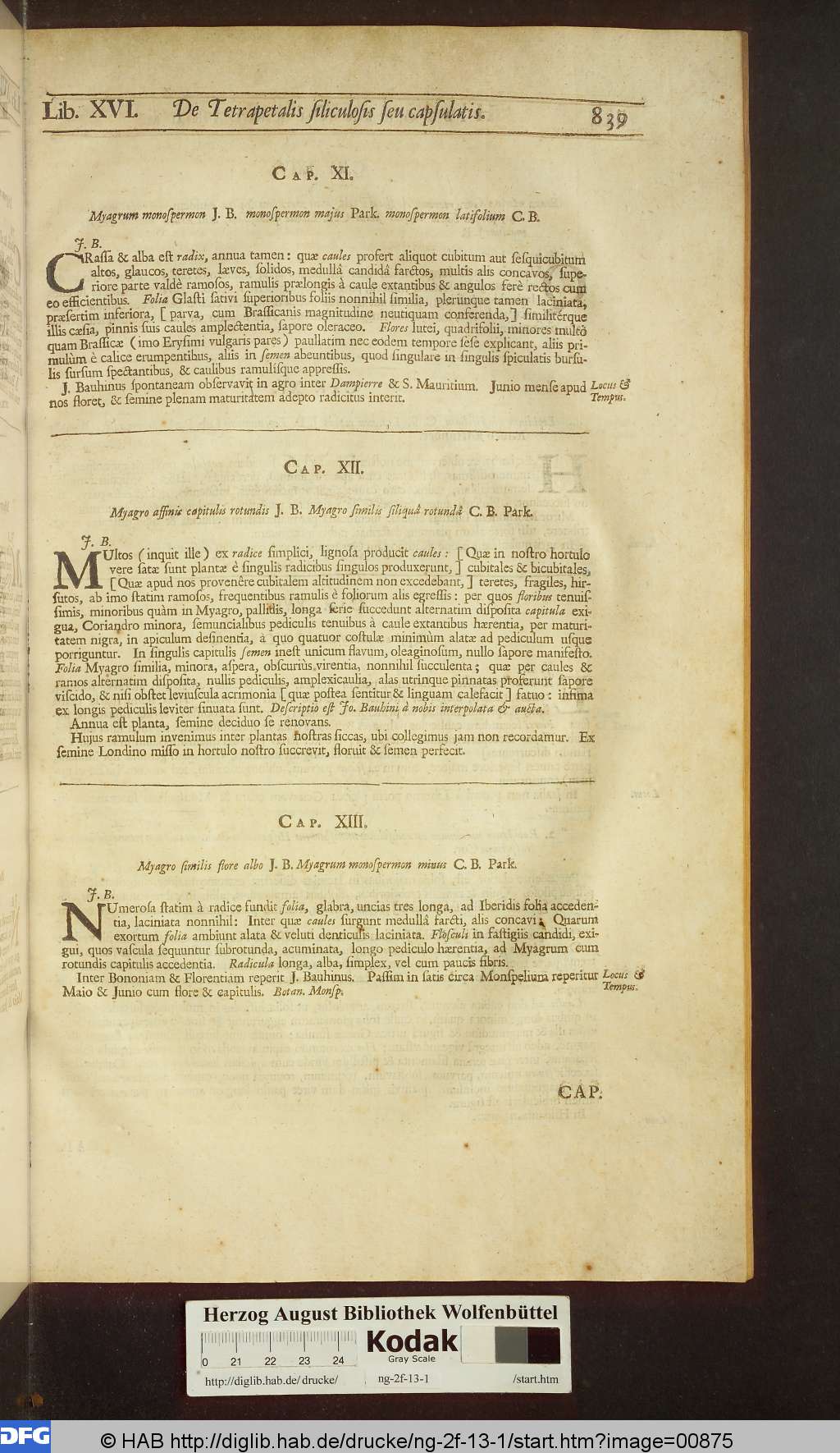 http://diglib.hab.de/drucke/ng-2f-13-1/00875.jpg