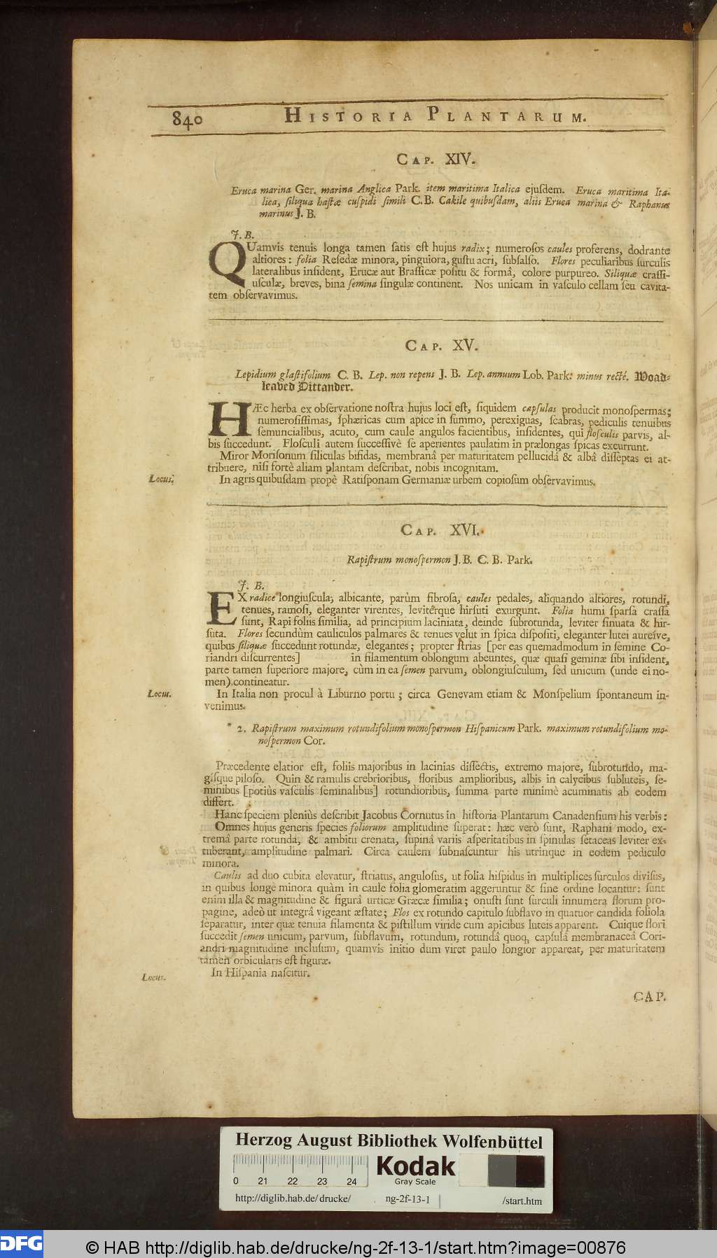 http://diglib.hab.de/drucke/ng-2f-13-1/00876.jpg