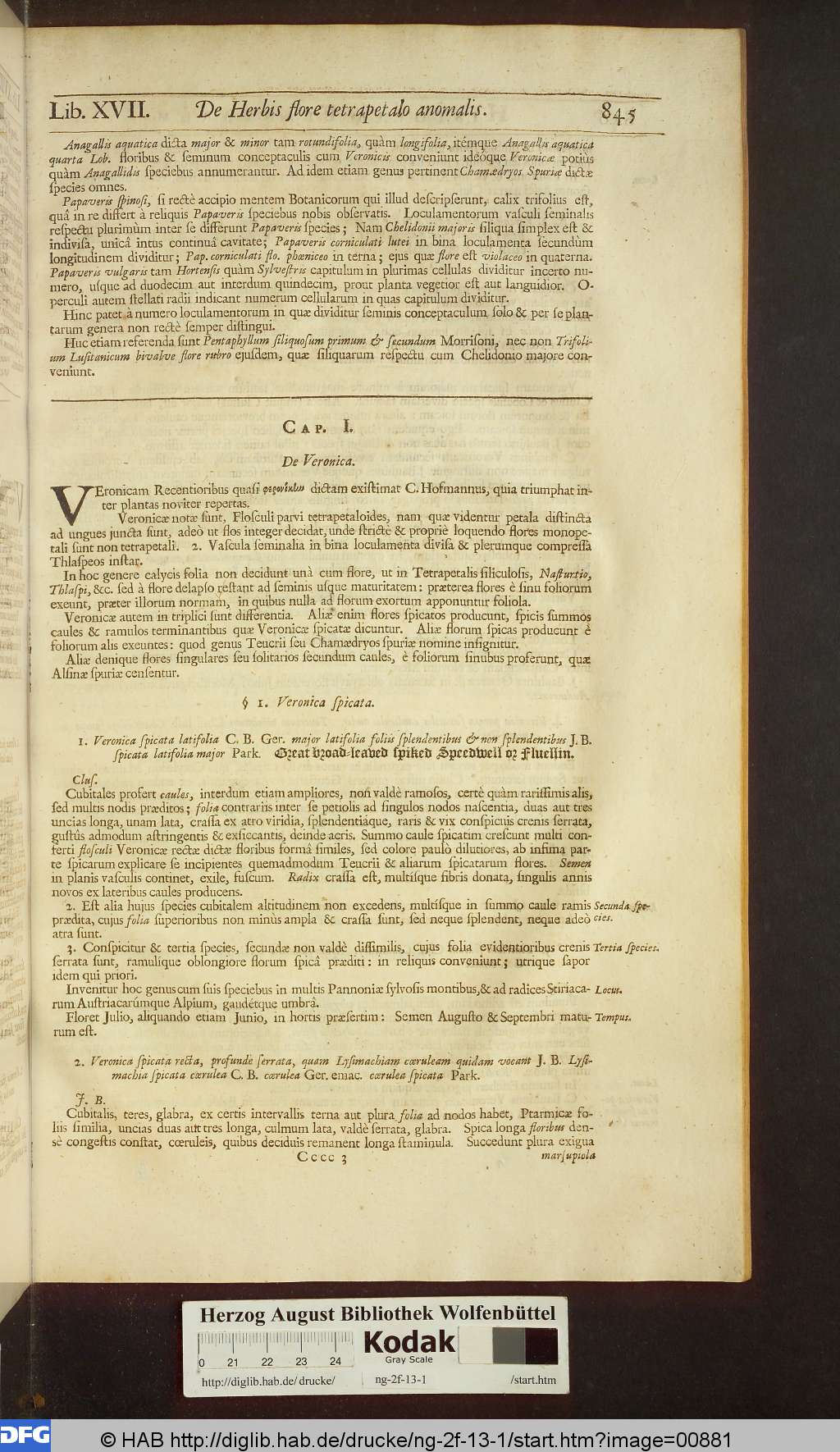 http://diglib.hab.de/drucke/ng-2f-13-1/00881.jpg