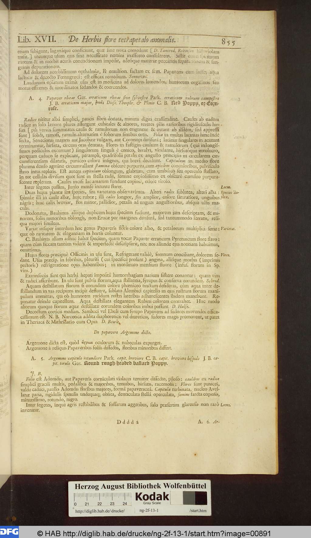http://diglib.hab.de/drucke/ng-2f-13-1/00891.jpg