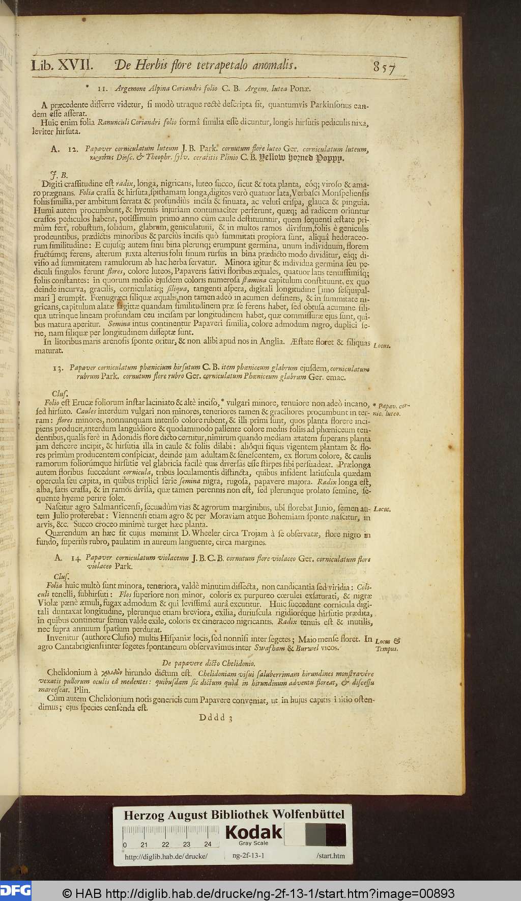 http://diglib.hab.de/drucke/ng-2f-13-1/00893.jpg