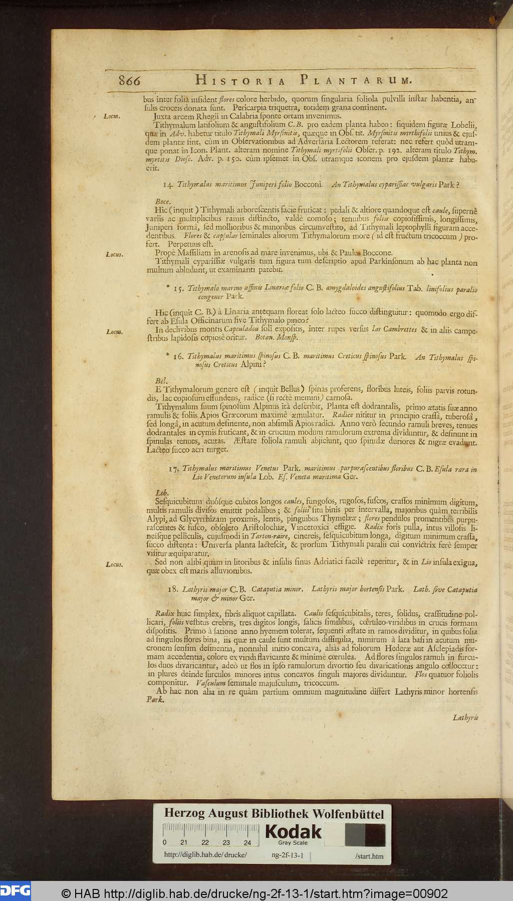 http://diglib.hab.de/drucke/ng-2f-13-1/00902.jpg