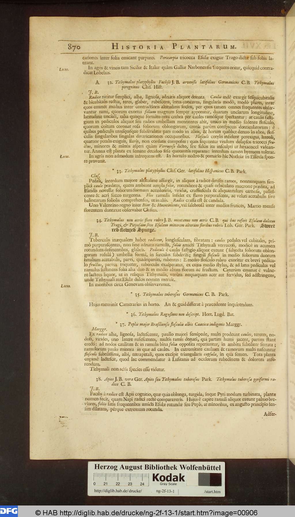 http://diglib.hab.de/drucke/ng-2f-13-1/00906.jpg