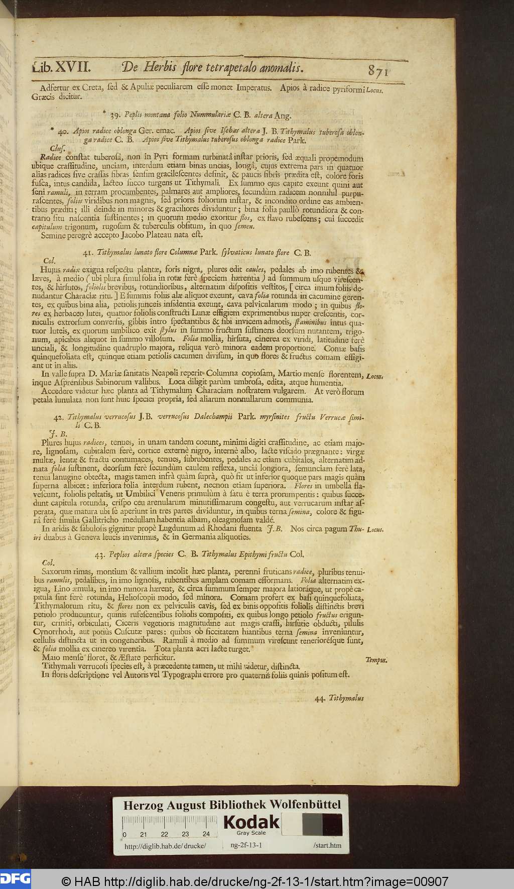 http://diglib.hab.de/drucke/ng-2f-13-1/00907.jpg
