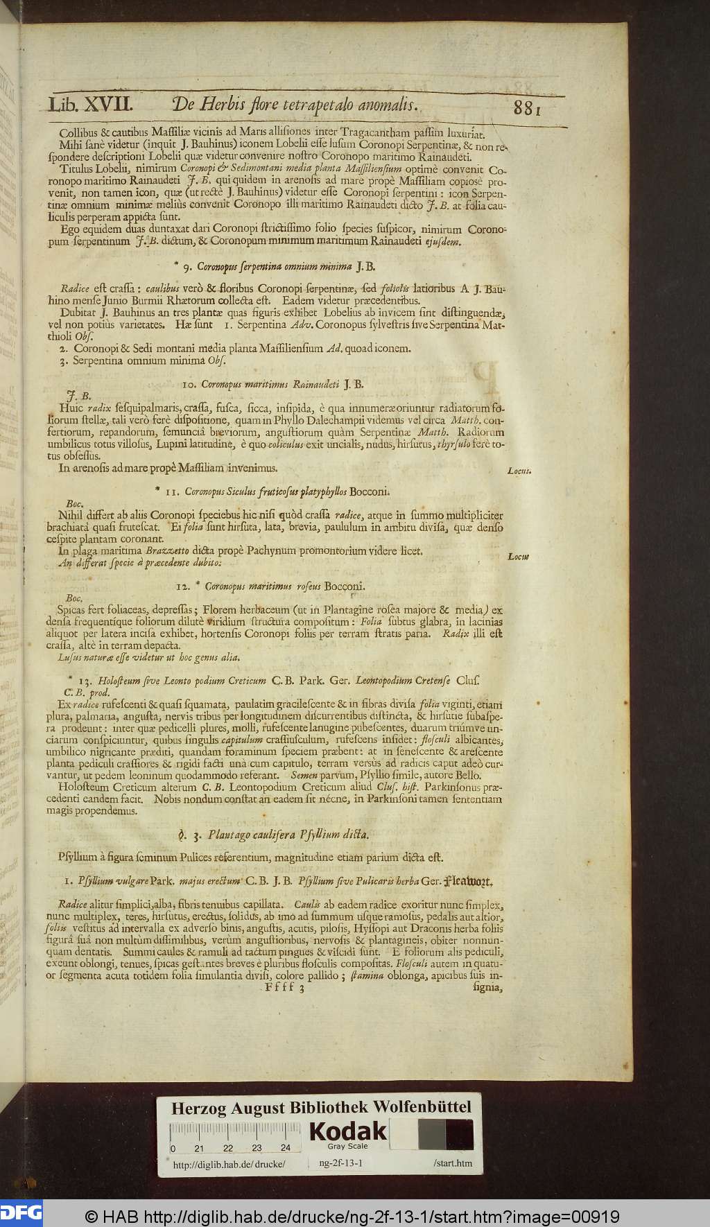 http://diglib.hab.de/drucke/ng-2f-13-1/00919.jpg