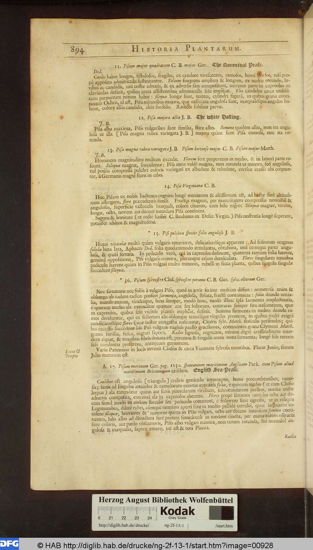 http://diglib.hab.de/drucke/ng-2f-13-1/00928.jpg