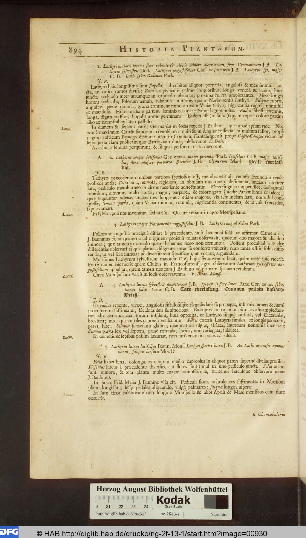 http://diglib.hab.de/drucke/ng-2f-13-1/00930.jpg