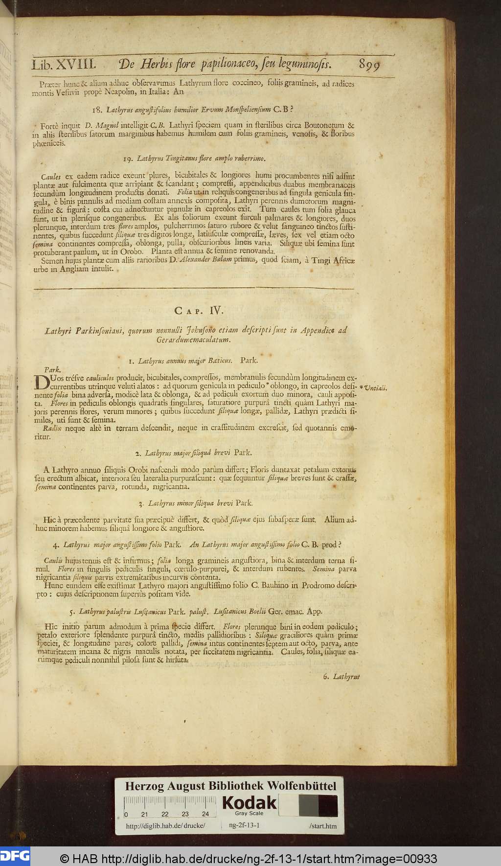 http://diglib.hab.de/drucke/ng-2f-13-1/00933.jpg