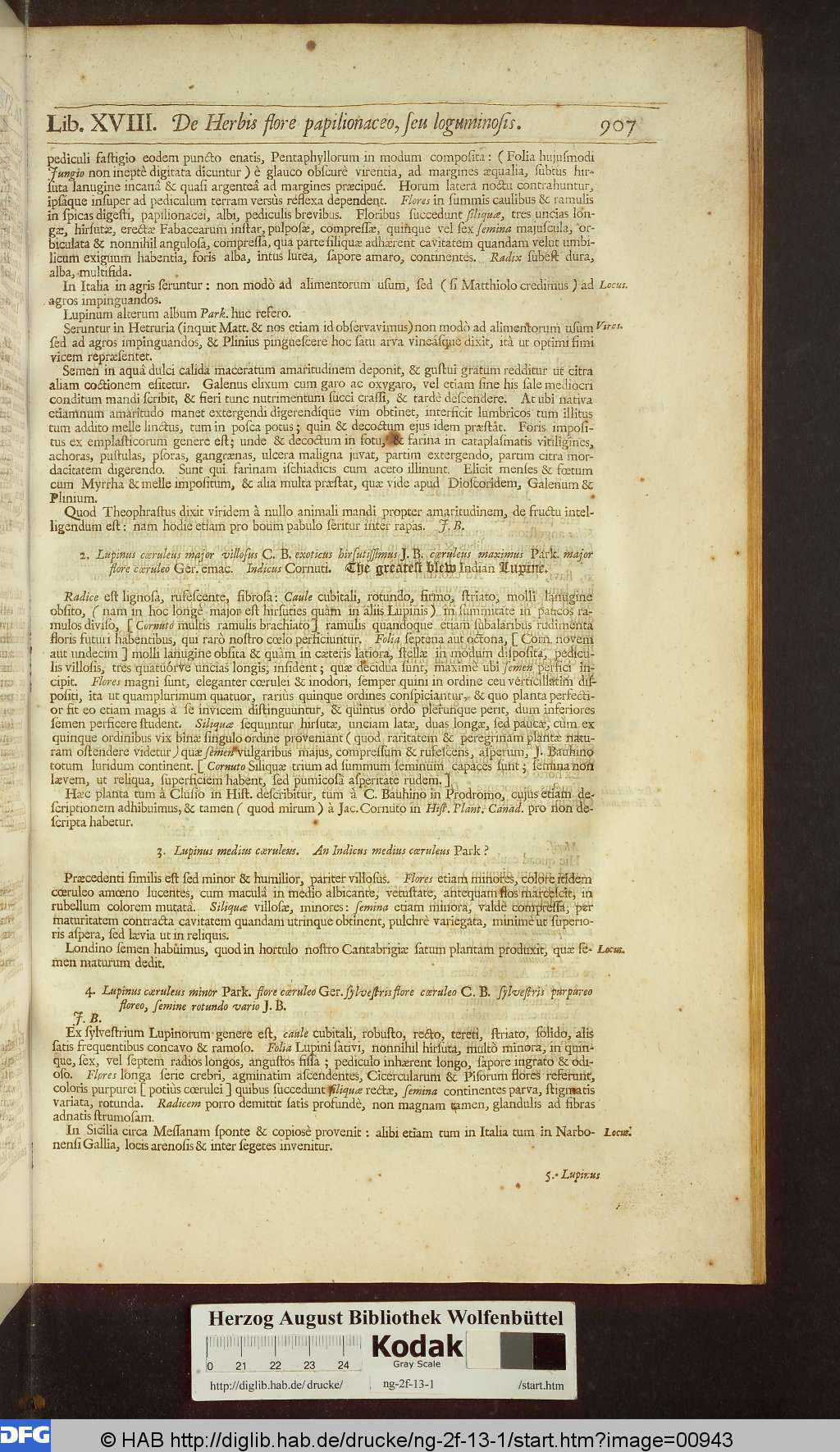 http://diglib.hab.de/drucke/ng-2f-13-1/00943.jpg