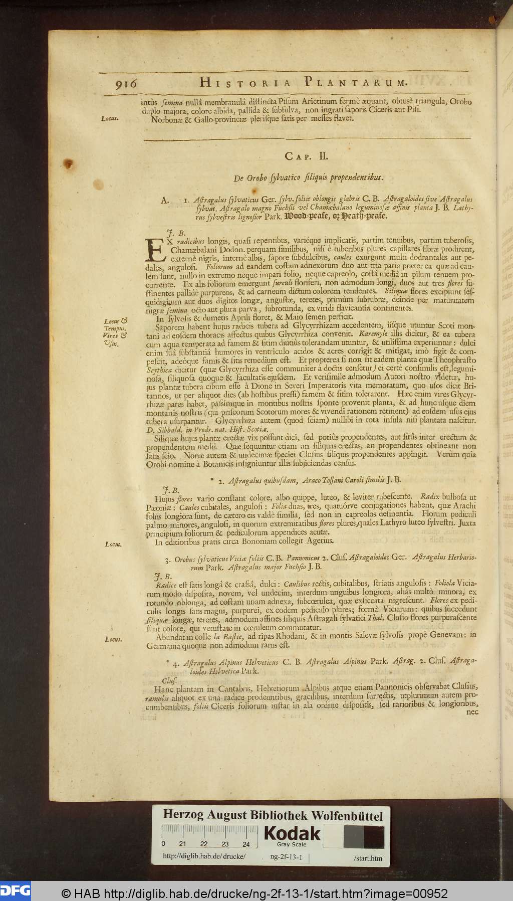 http://diglib.hab.de/drucke/ng-2f-13-1/00952.jpg