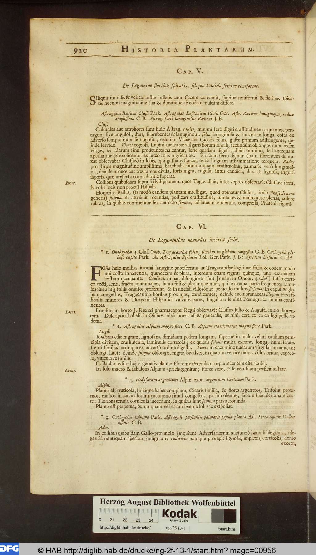 http://diglib.hab.de/drucke/ng-2f-13-1/00956.jpg