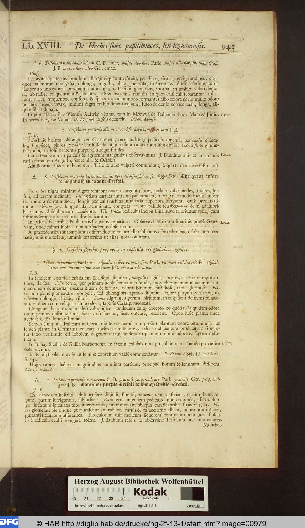 http://diglib.hab.de/drucke/ng-2f-13-1/00979.jpg
