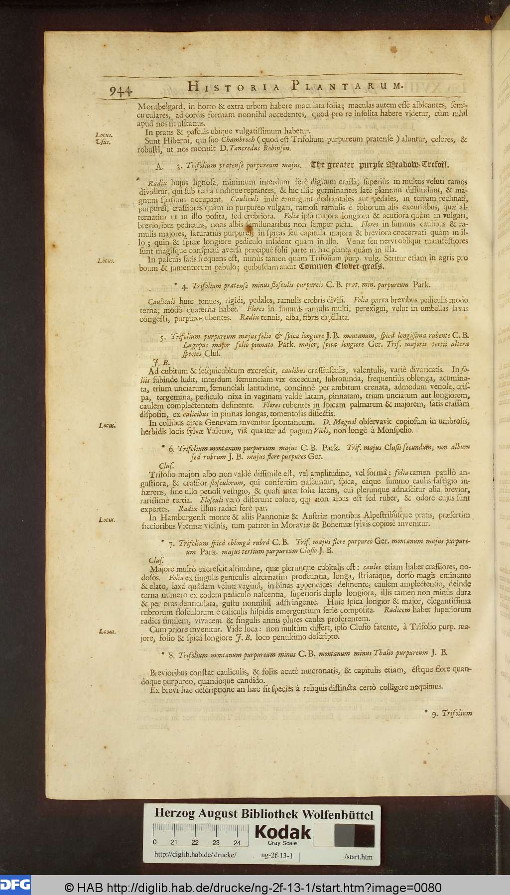 http://diglib.hab.de/drucke/ng-2f-13-1/00980.jpg