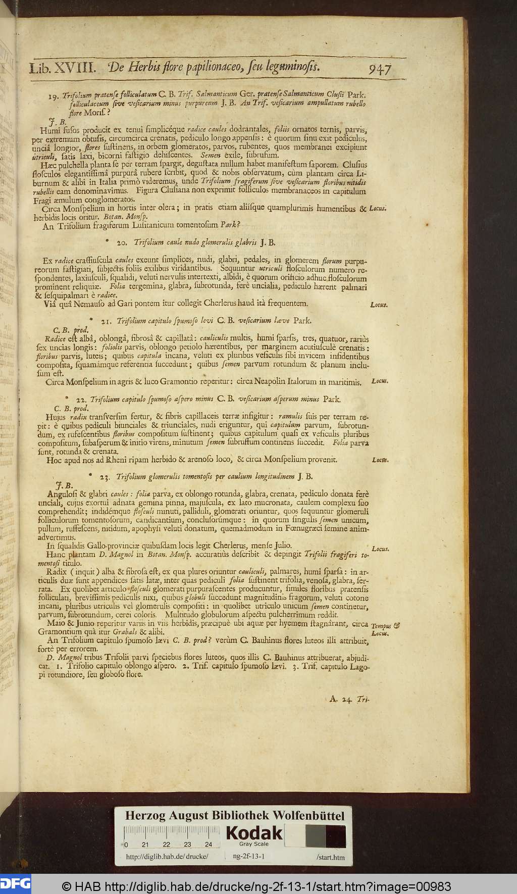 http://diglib.hab.de/drucke/ng-2f-13-1/00983.jpg