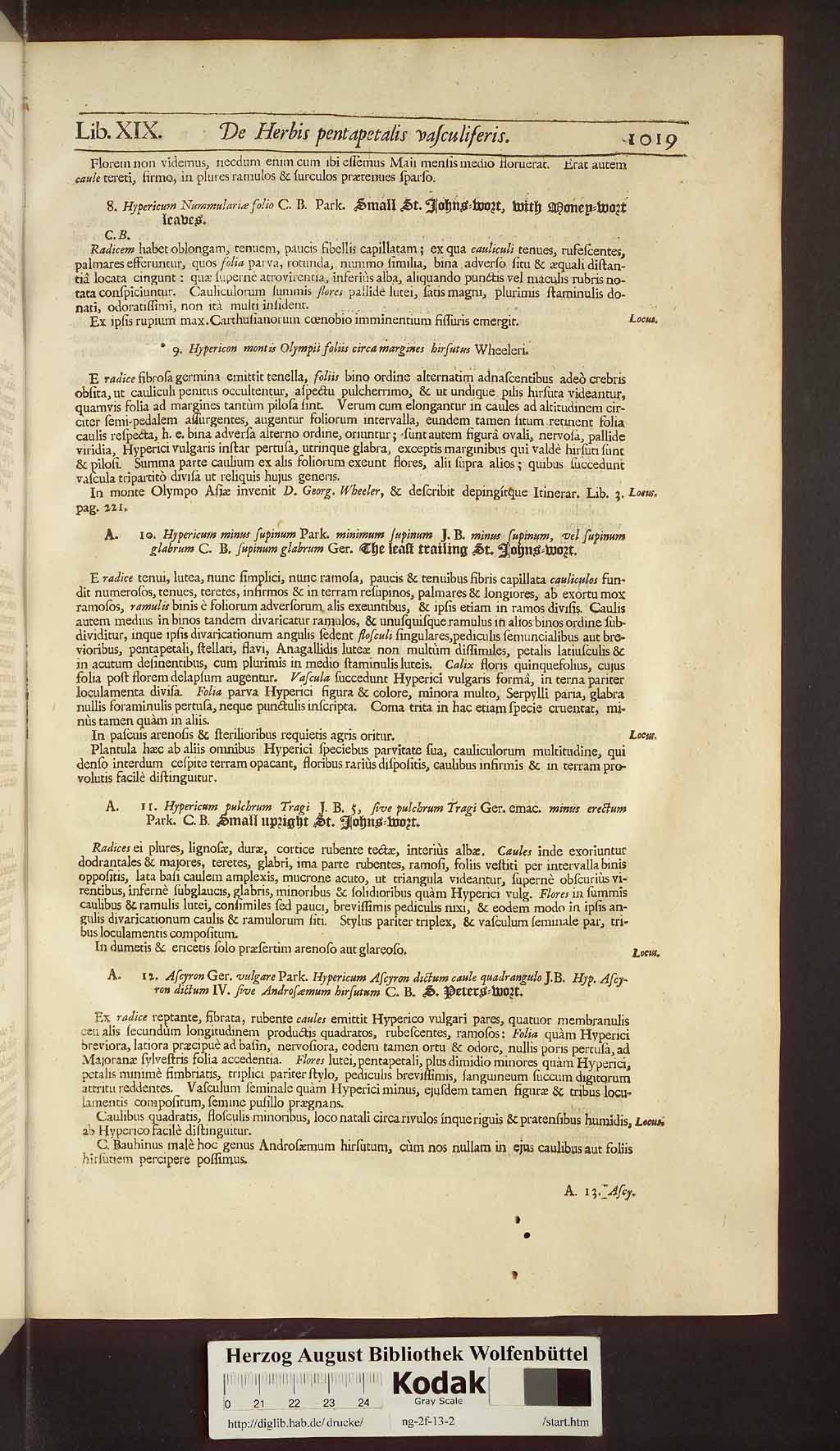 http://diglib.hab.de/drucke/ng-2f-13-2/00049.jpg