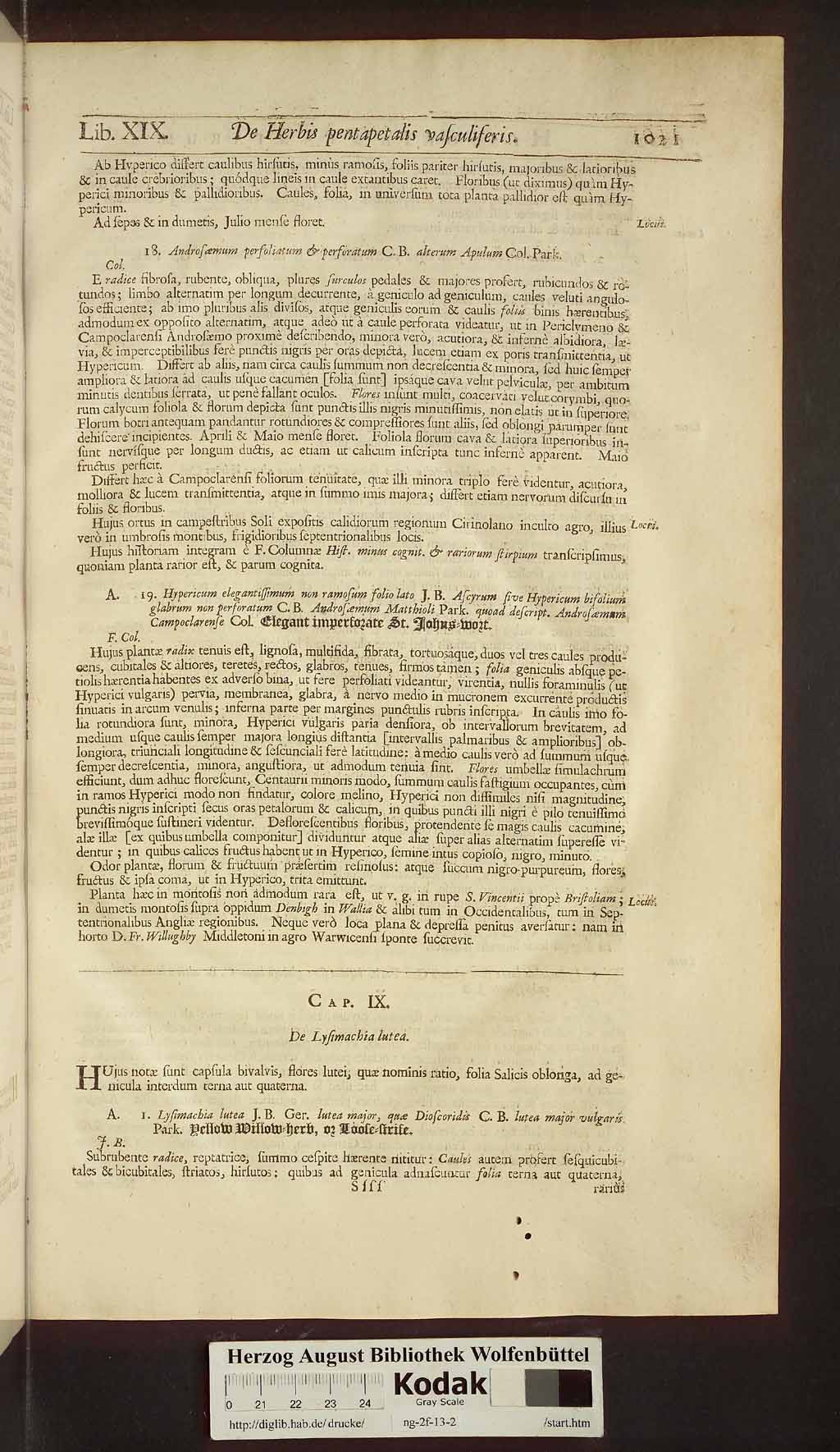 http://diglib.hab.de/drucke/ng-2f-13-2/00051.jpg