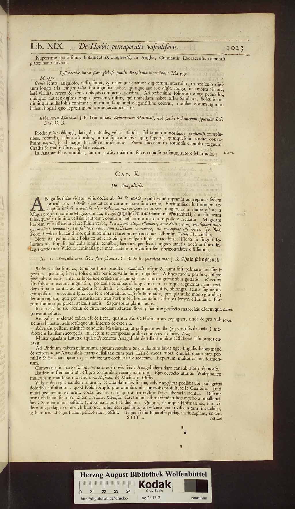 http://diglib.hab.de/drucke/ng-2f-13-2/00053.jpg
