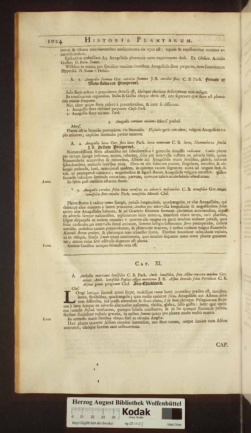 http://diglib.hab.de/drucke/ng-2f-13-2/00054.jpg