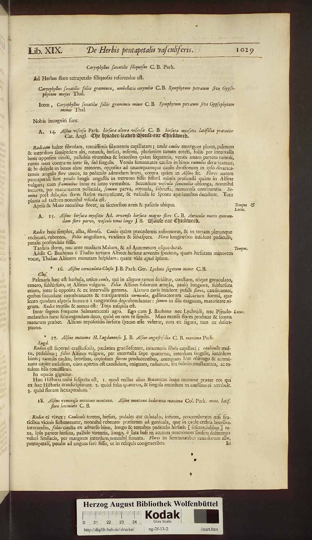 http://diglib.hab.de/drucke/ng-2f-13-2/00059.jpg