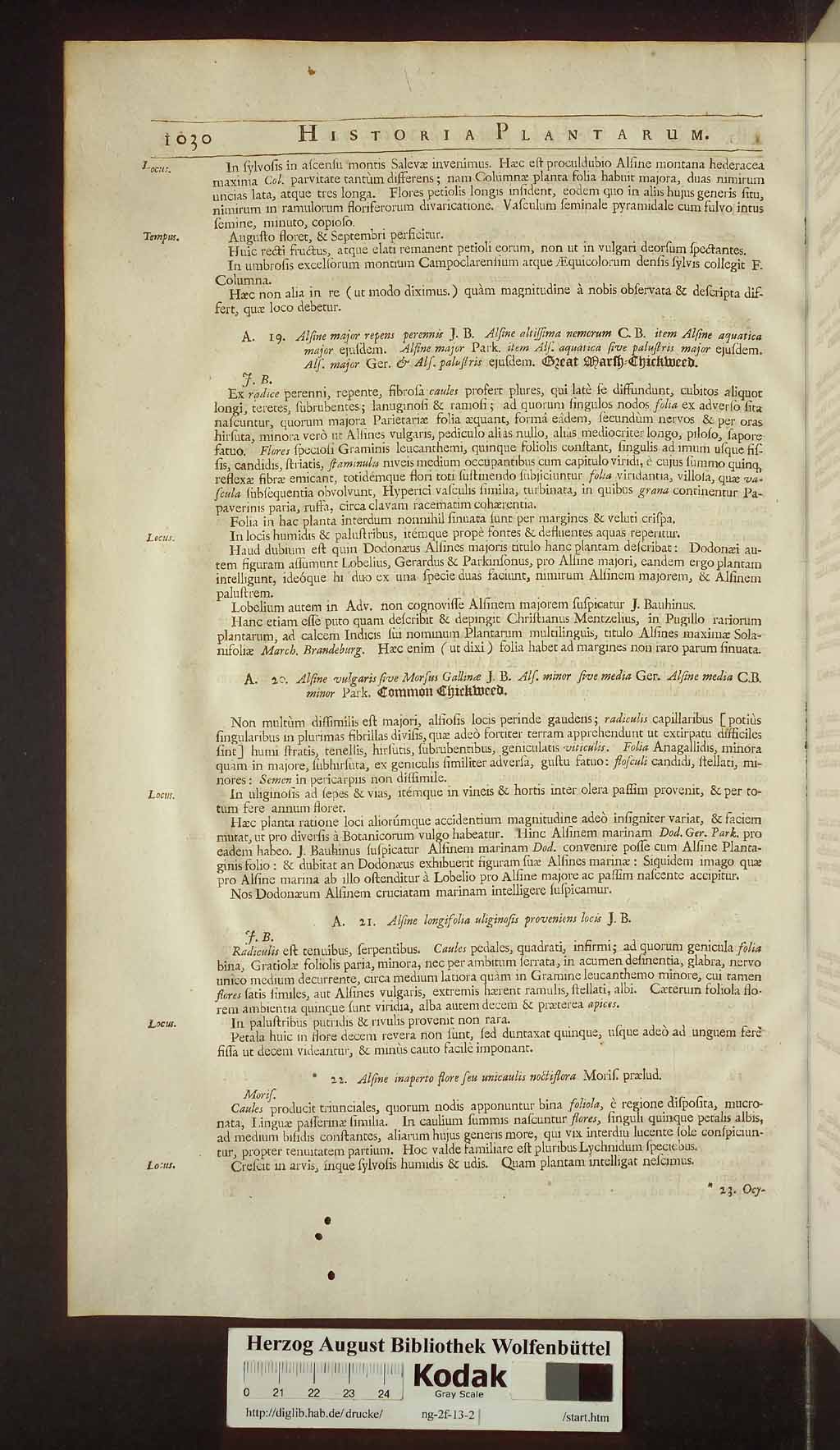 http://diglib.hab.de/drucke/ng-2f-13-2/00060.jpg