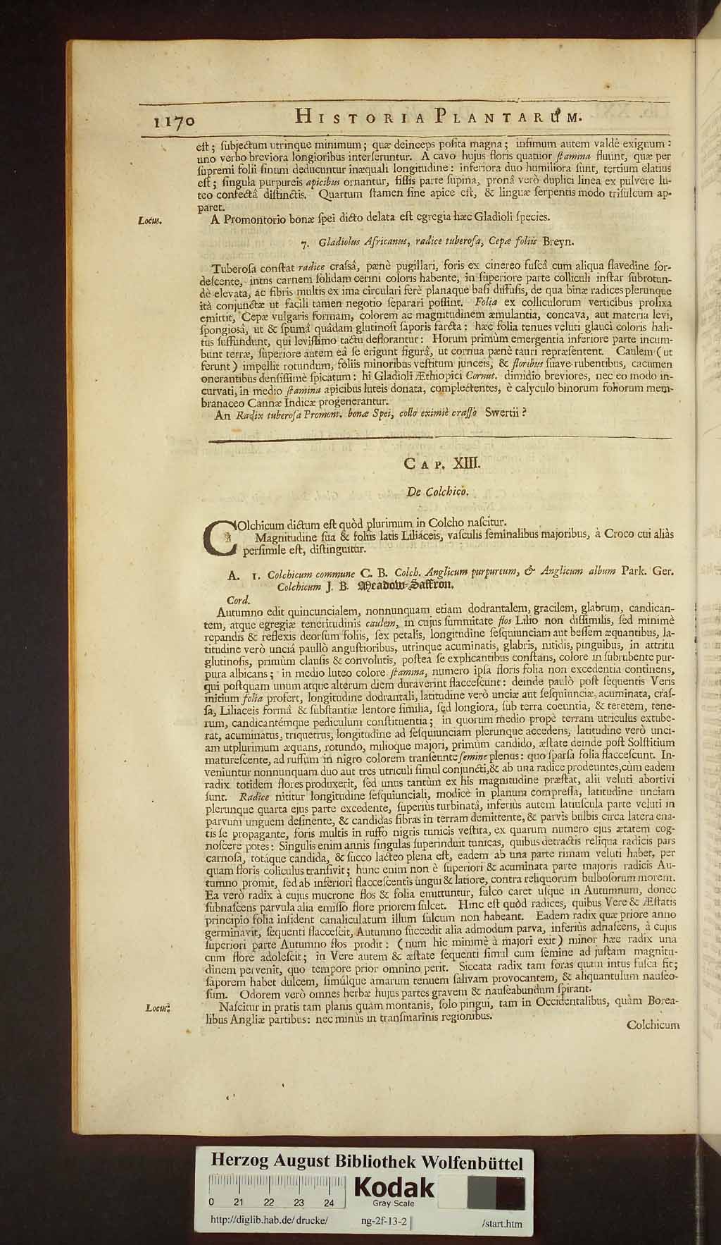 http://diglib.hab.de/drucke/ng-2f-13-2/00200.jpg