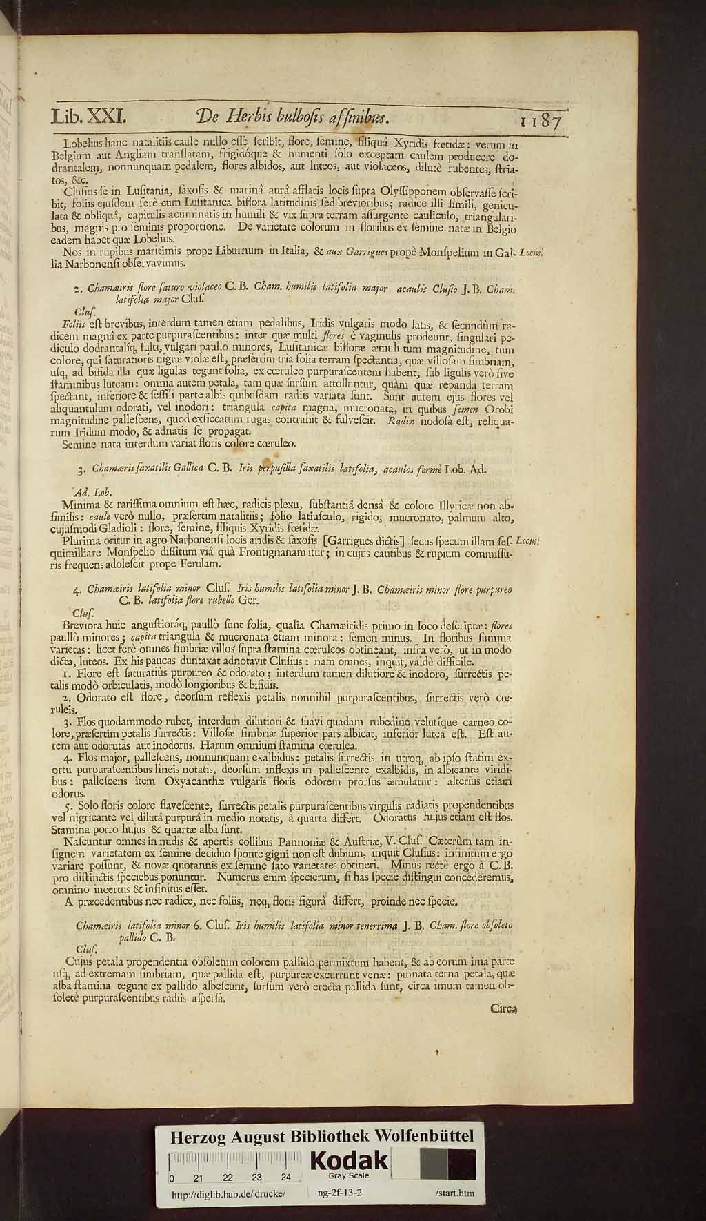 http://diglib.hab.de/drucke/ng-2f-13-2/00217.jpg
