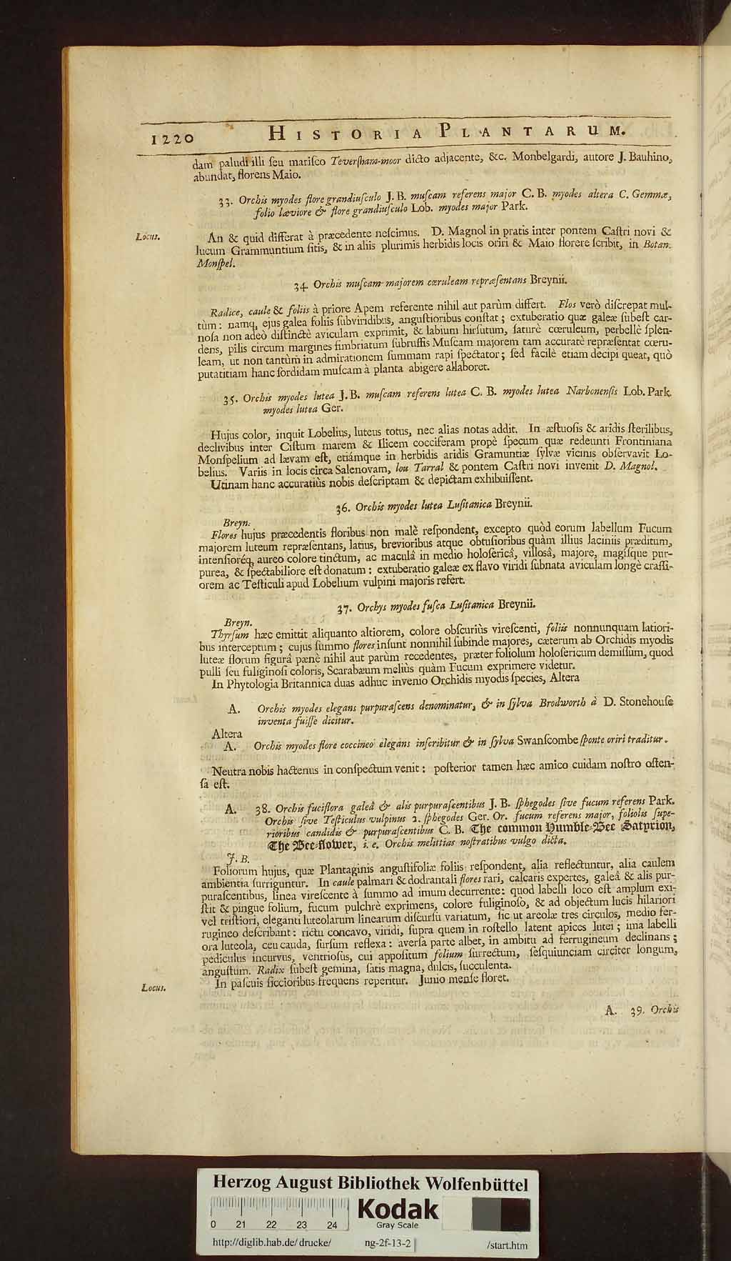 http://diglib.hab.de/drucke/ng-2f-13-2/00250.jpg