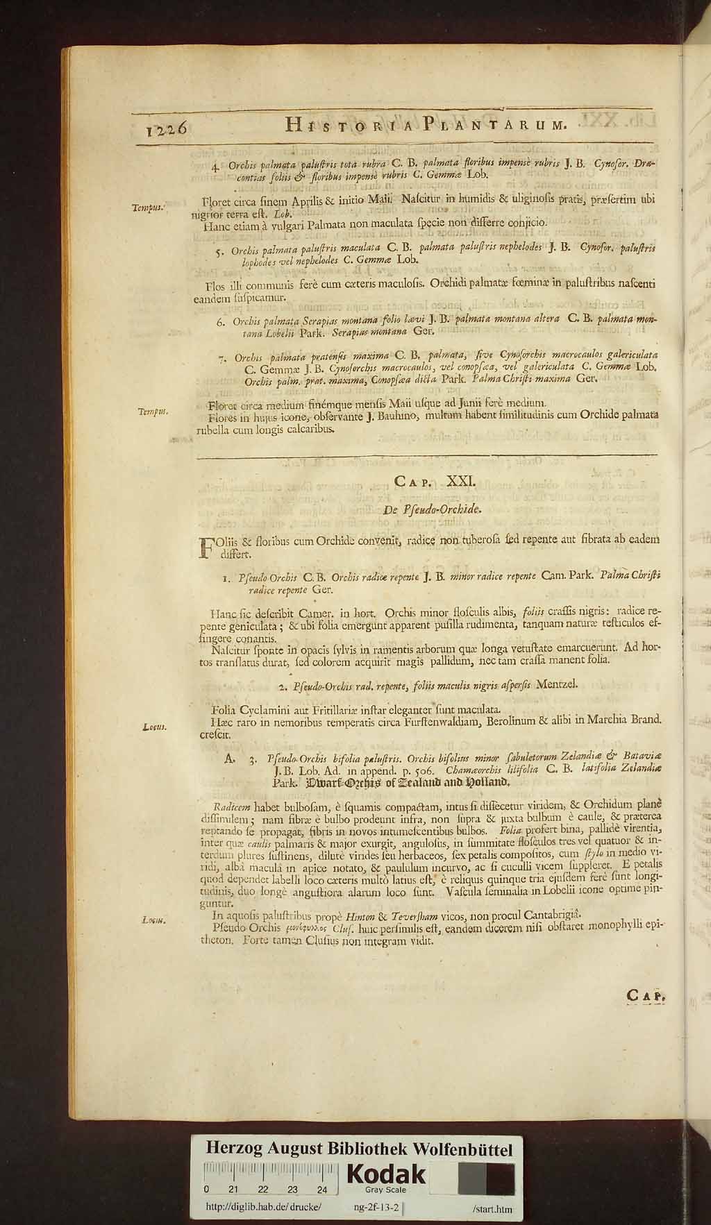 http://diglib.hab.de/drucke/ng-2f-13-2/00256.jpg