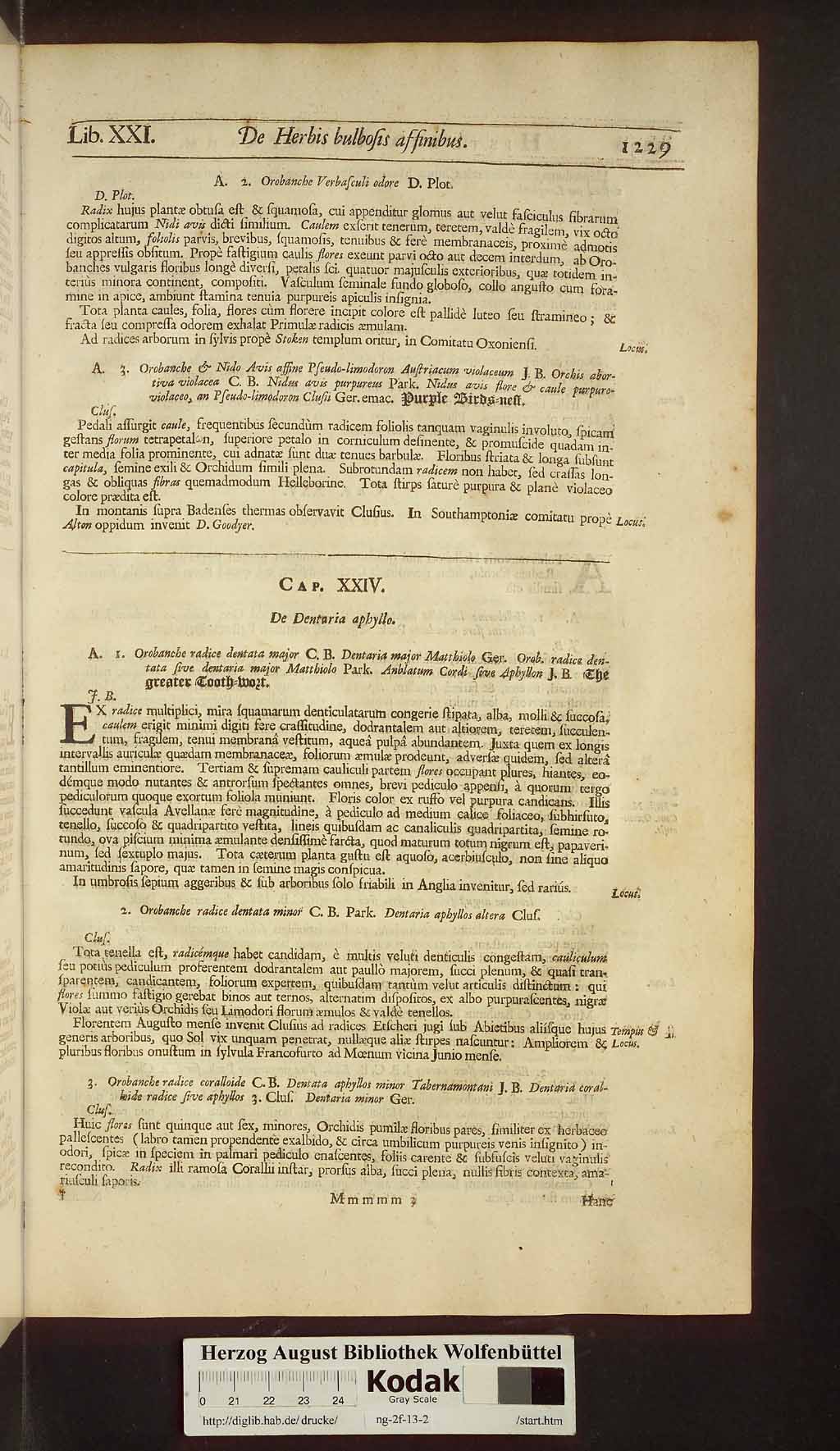 http://diglib.hab.de/drucke/ng-2f-13-2/00259.jpg