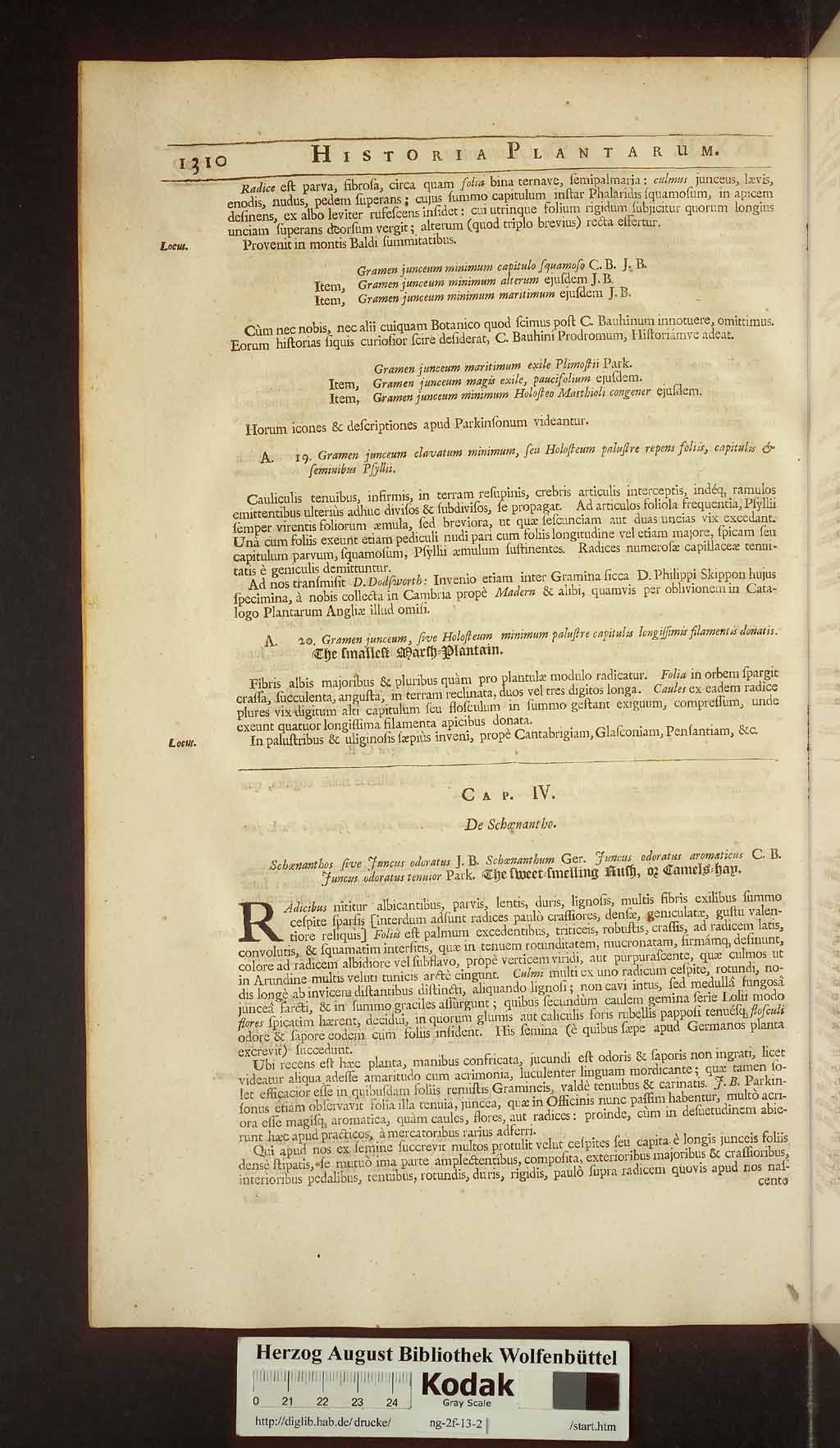 http://diglib.hab.de/drucke/ng-2f-13-2/00340.jpg