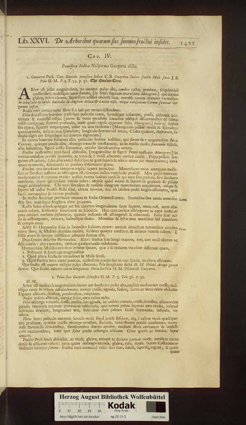 http://diglib.hab.de/drucke/ng-2f-13-2/00487.jpg