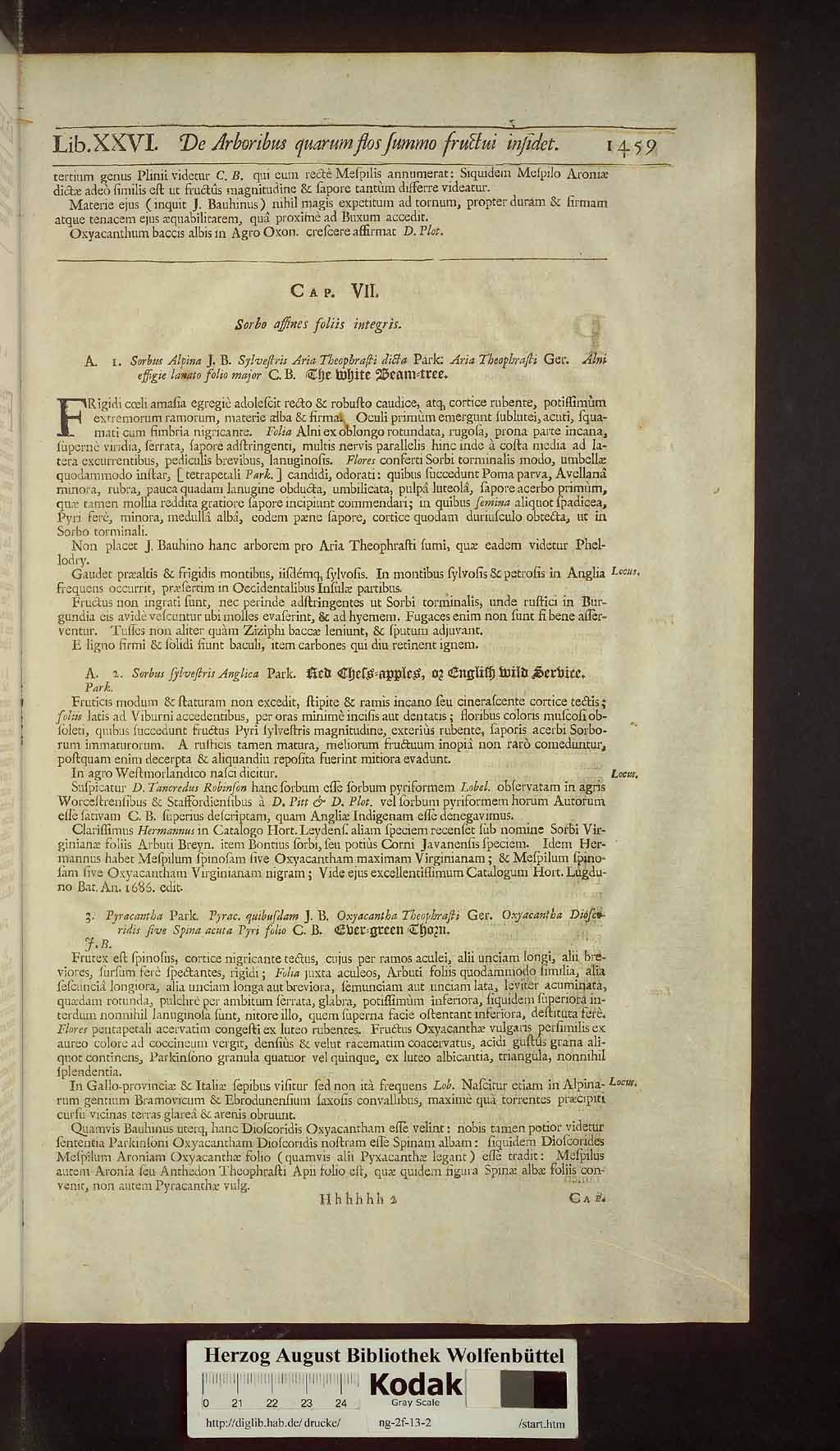 http://diglib.hab.de/drucke/ng-2f-13-2/00491.jpg