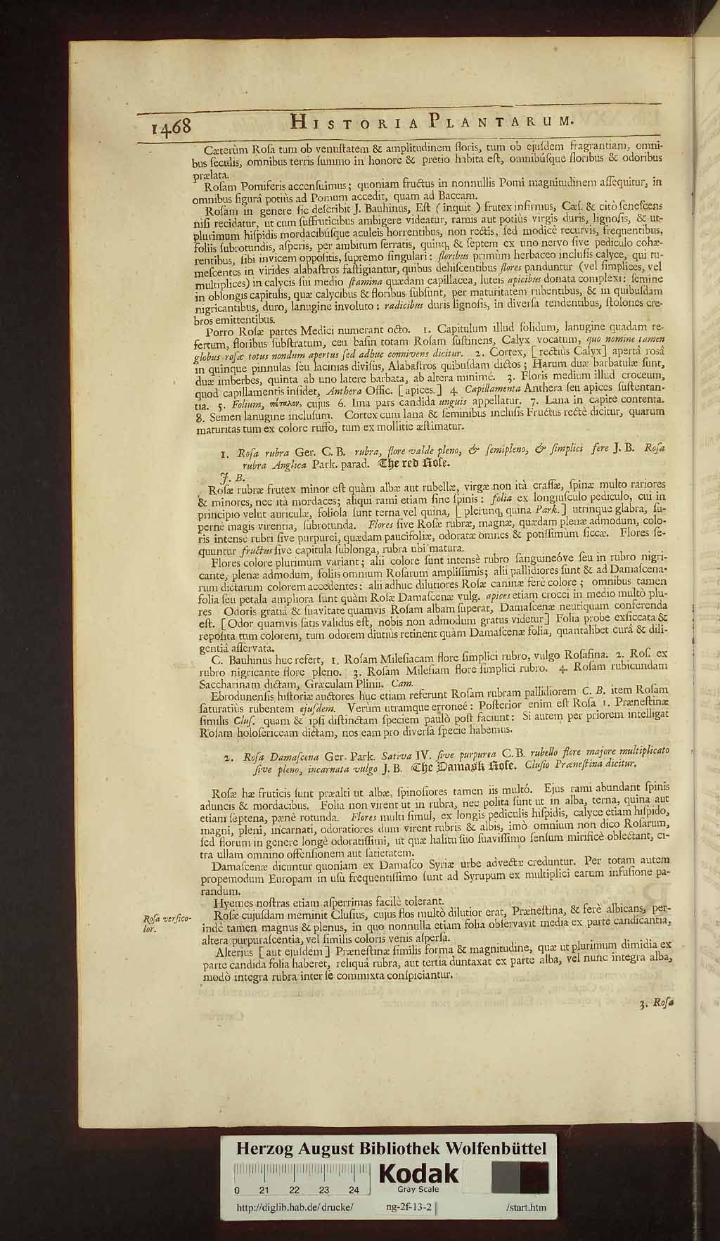 http://diglib.hab.de/drucke/ng-2f-13-2/00500.jpg