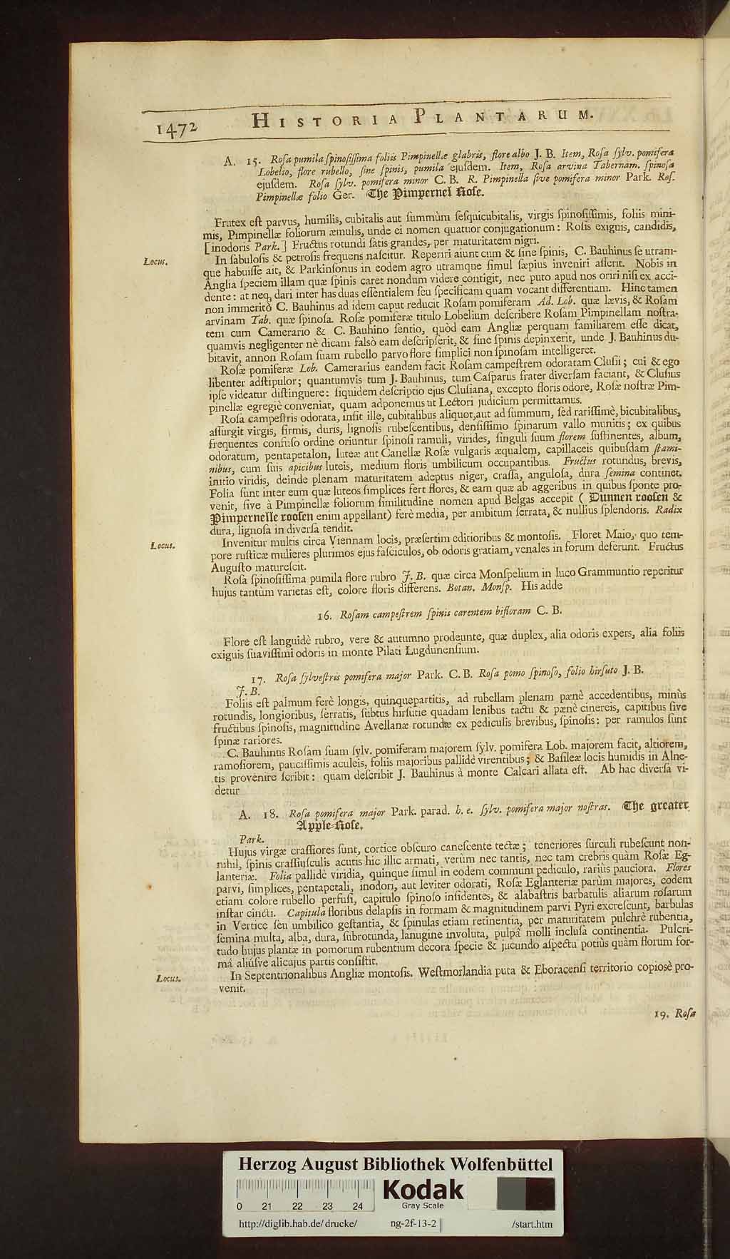 http://diglib.hab.de/drucke/ng-2f-13-2/00504.jpg