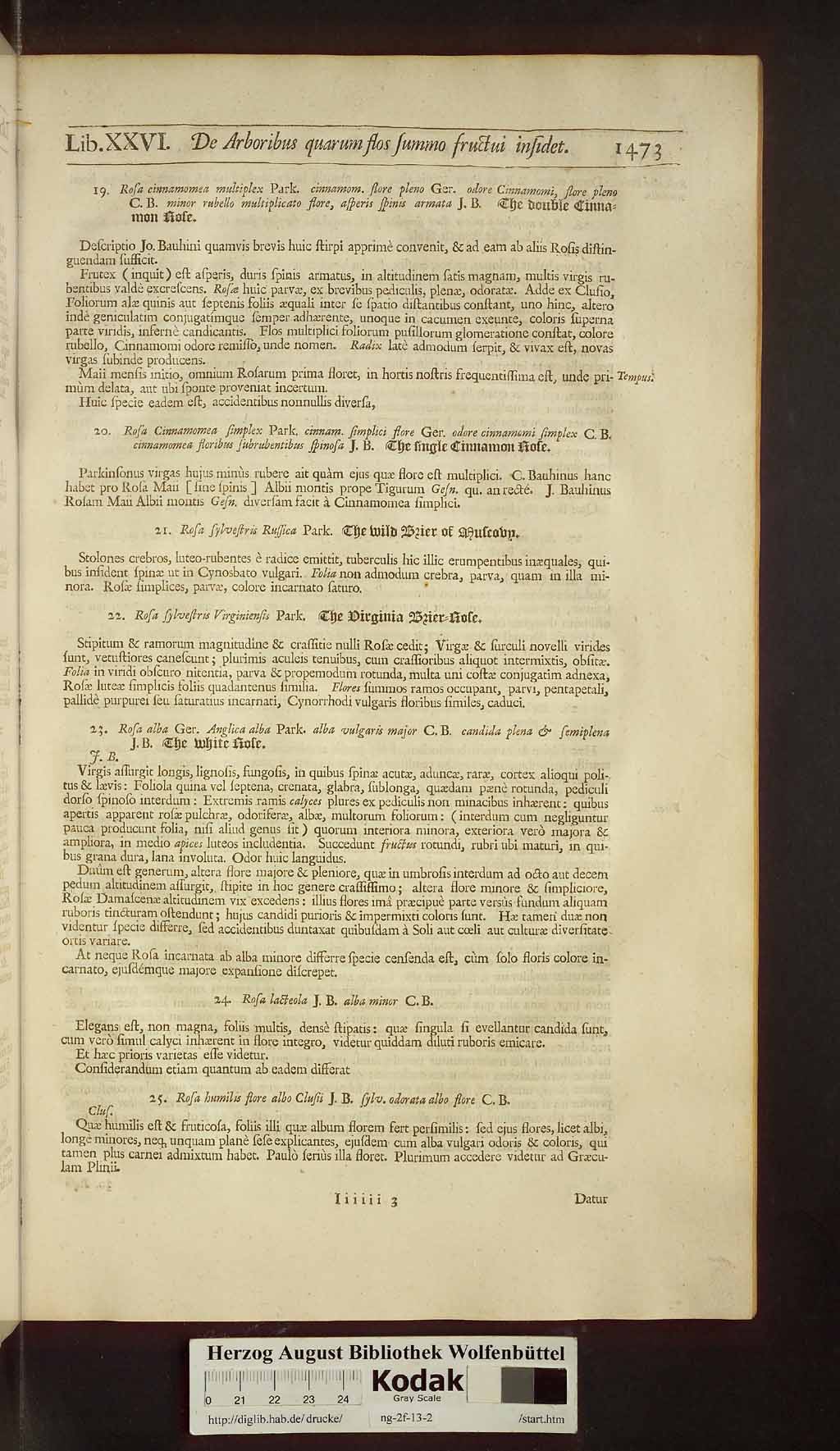 http://diglib.hab.de/drucke/ng-2f-13-2/00505.jpg
