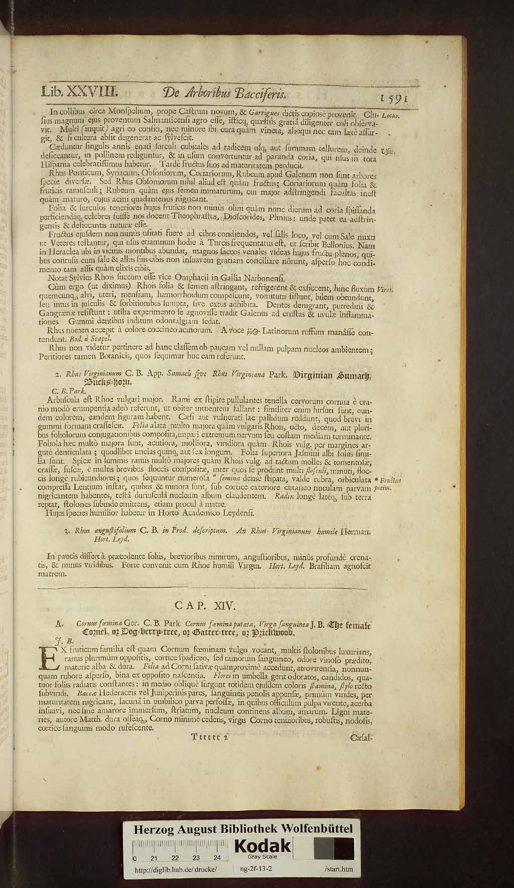 http://diglib.hab.de/drucke/ng-2f-13-2/00623.jpg