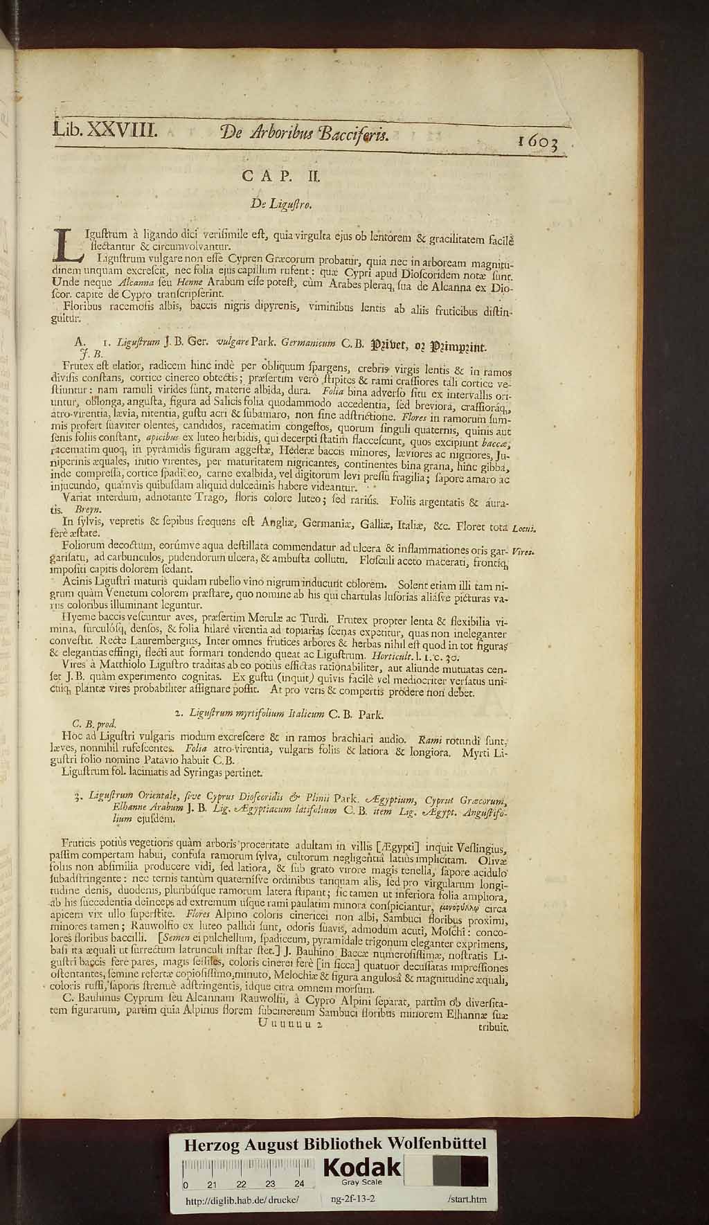 http://diglib.hab.de/drucke/ng-2f-13-2/00635.jpg