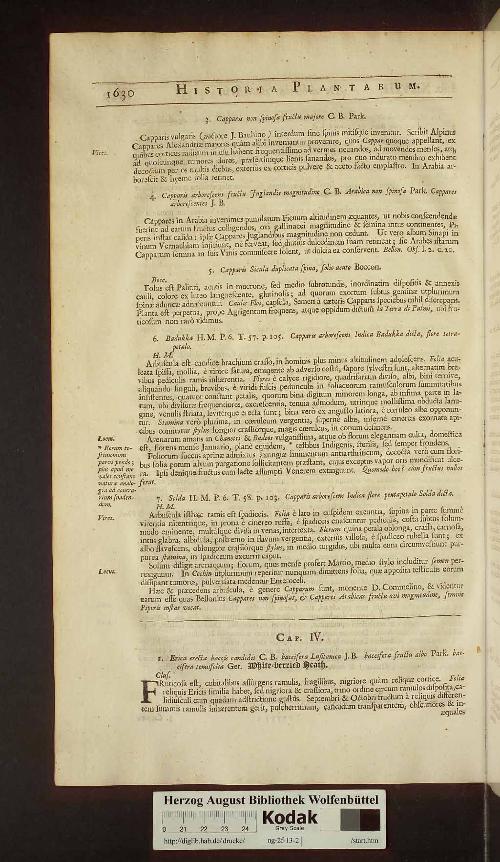 http://diglib.hab.de/drucke/ng-2f-13-2/00662.jpg
