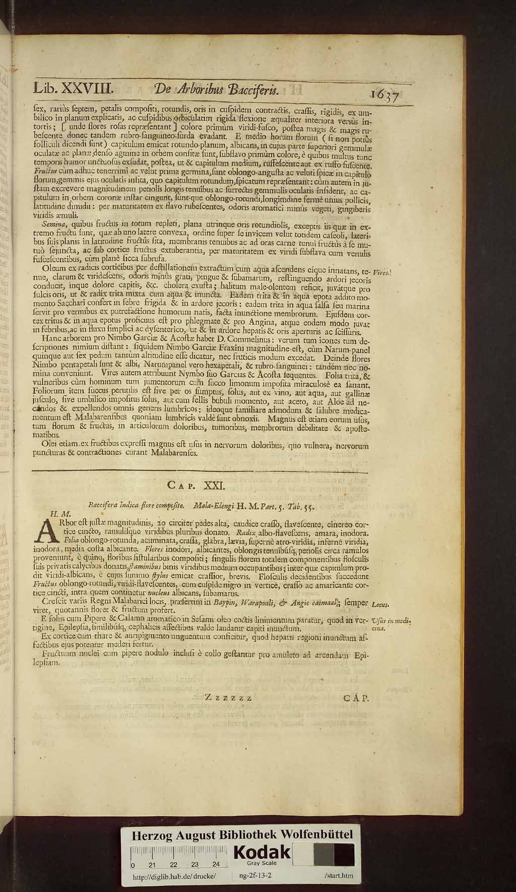 http://diglib.hab.de/drucke/ng-2f-13-2/00669.jpg
