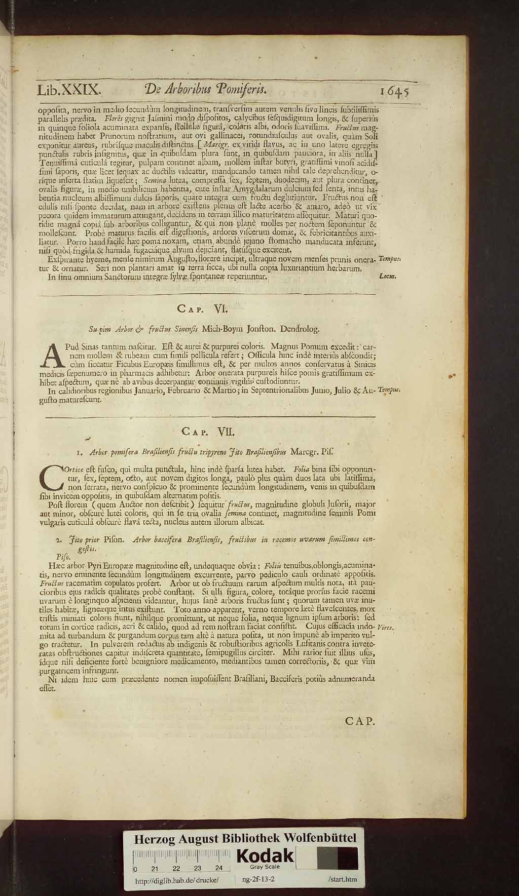 http://diglib.hab.de/drucke/ng-2f-13-2/00677.jpg