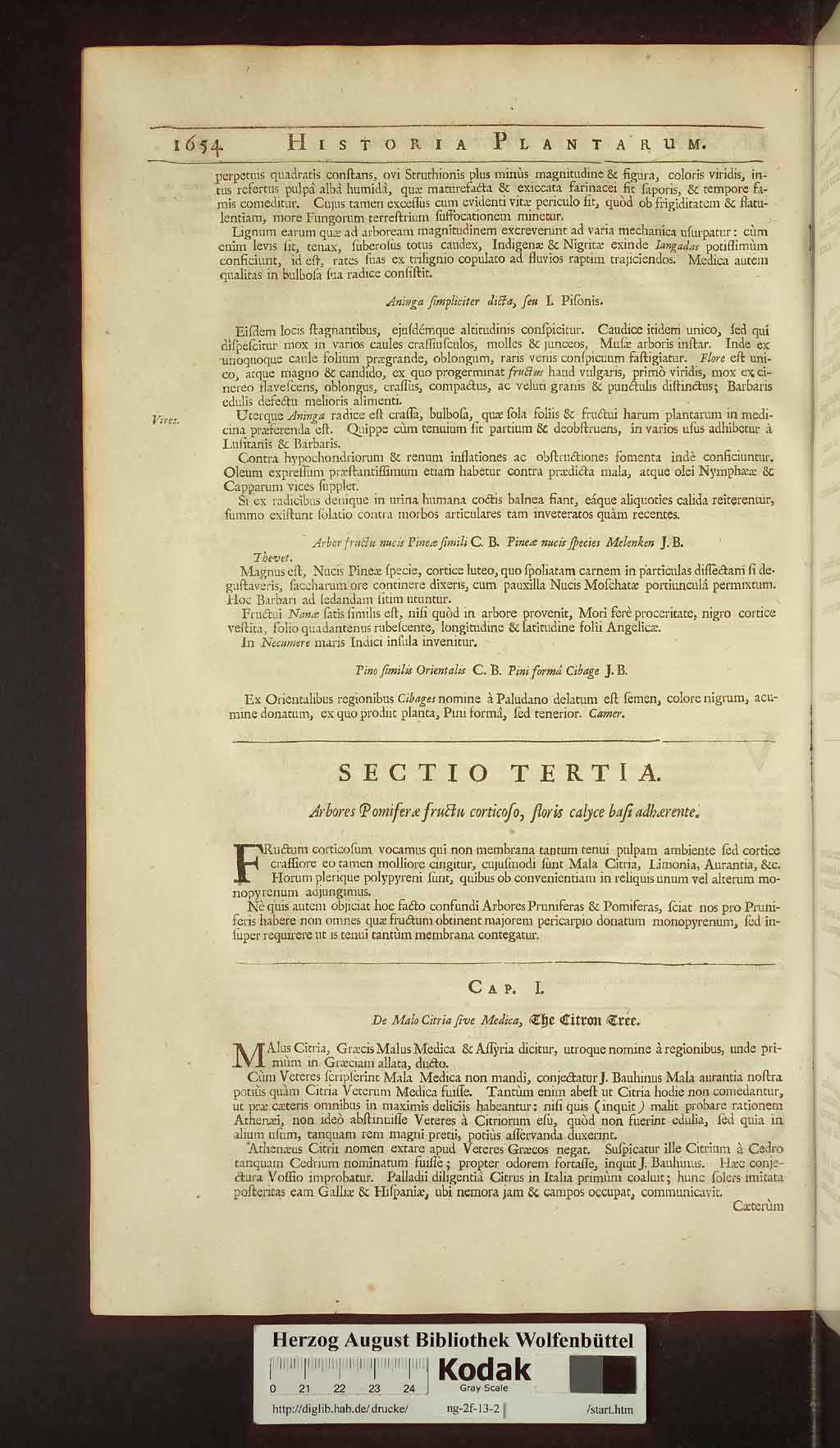 http://diglib.hab.de/drucke/ng-2f-13-2/00686.jpg