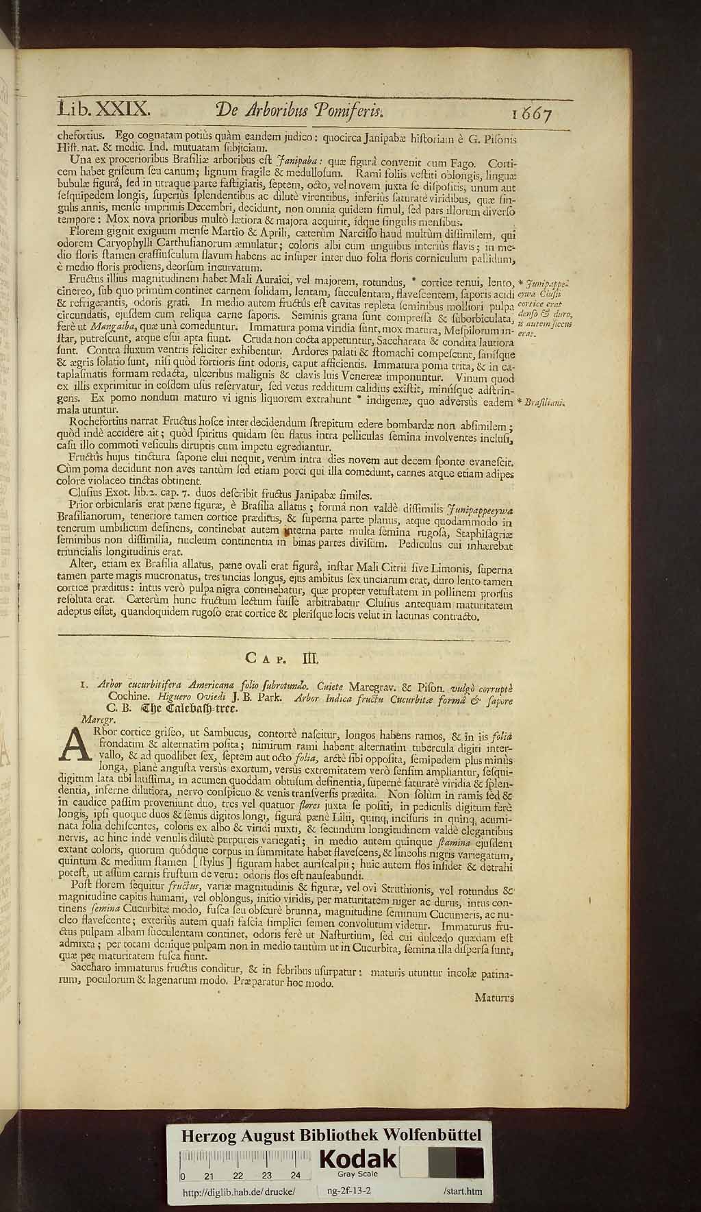http://diglib.hab.de/drucke/ng-2f-13-2/00699.jpg