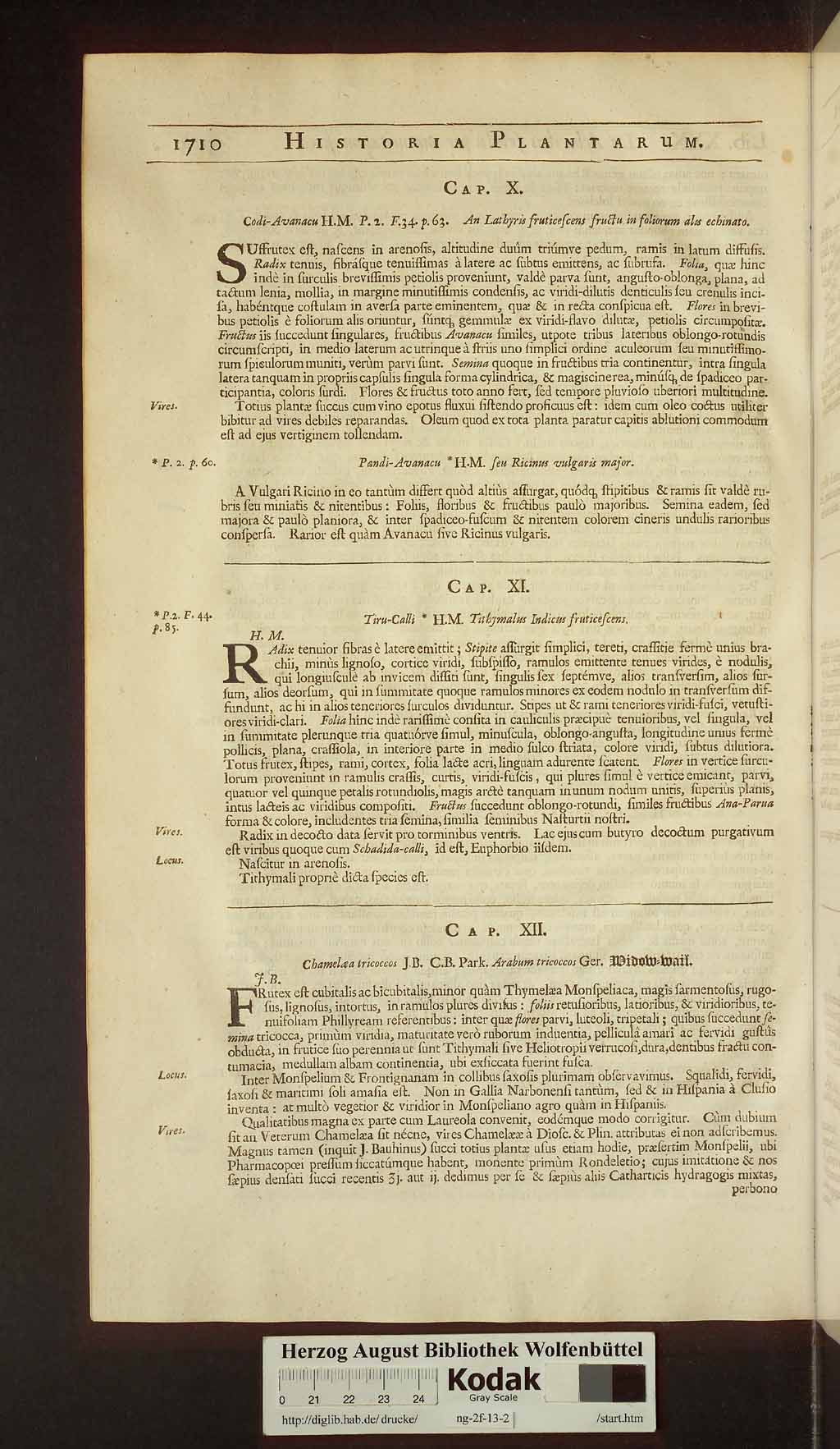 http://diglib.hab.de/drucke/ng-2f-13-2/00742.jpg