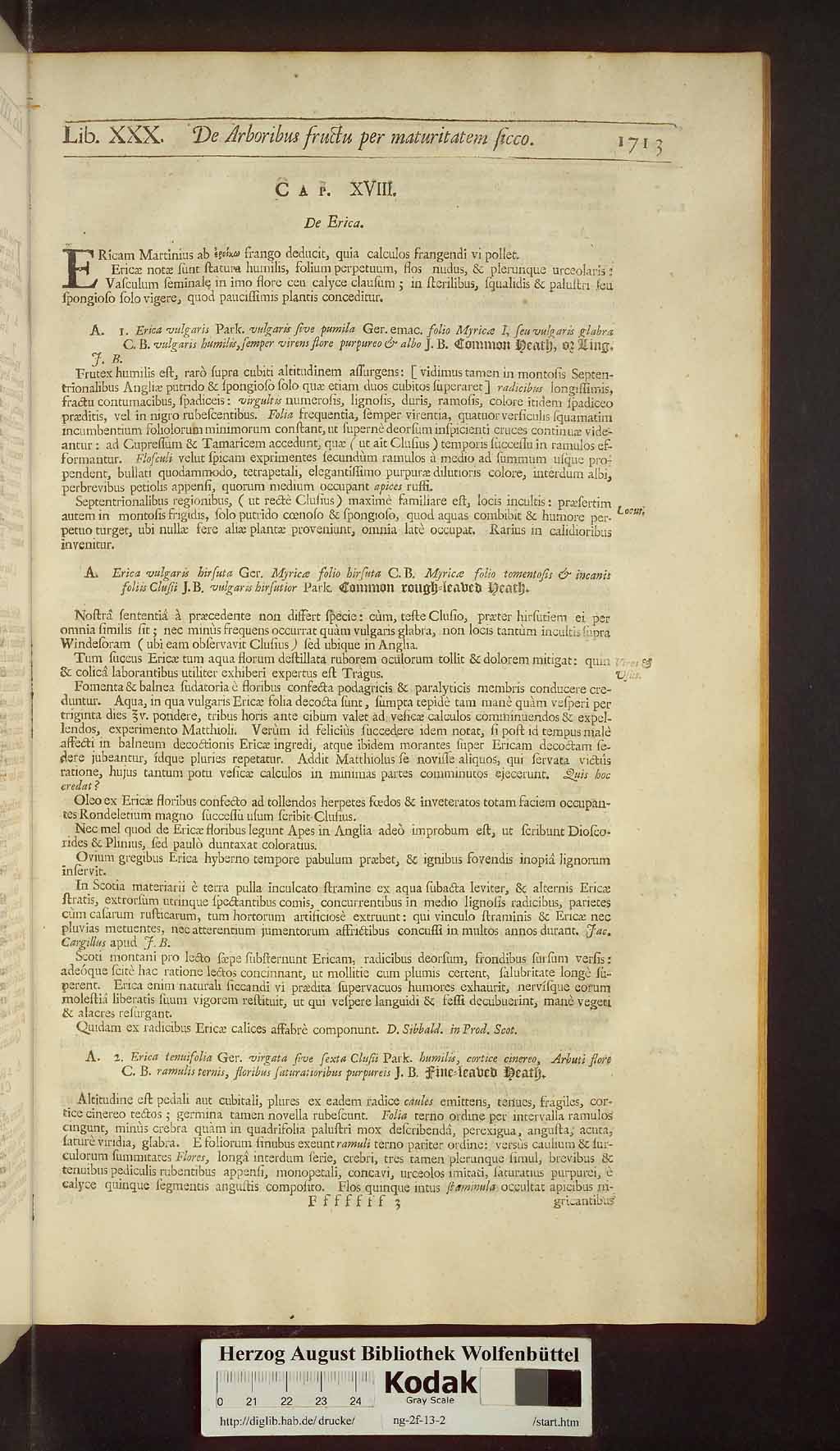 http://diglib.hab.de/drucke/ng-2f-13-2/00745.jpg