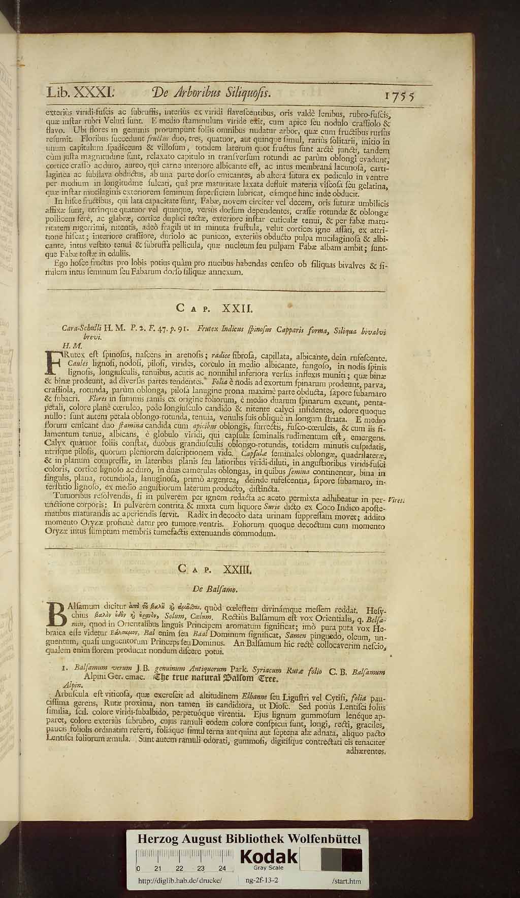 http://diglib.hab.de/drucke/ng-2f-13-2/00787.jpg