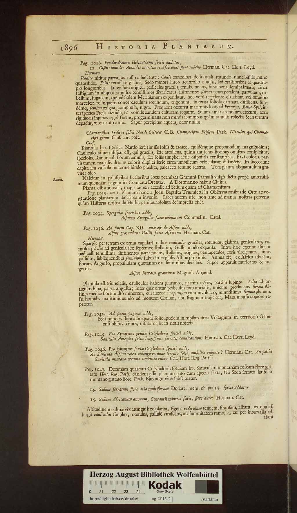 http://diglib.hab.de/drucke/ng-2f-13-2/00928.jpg