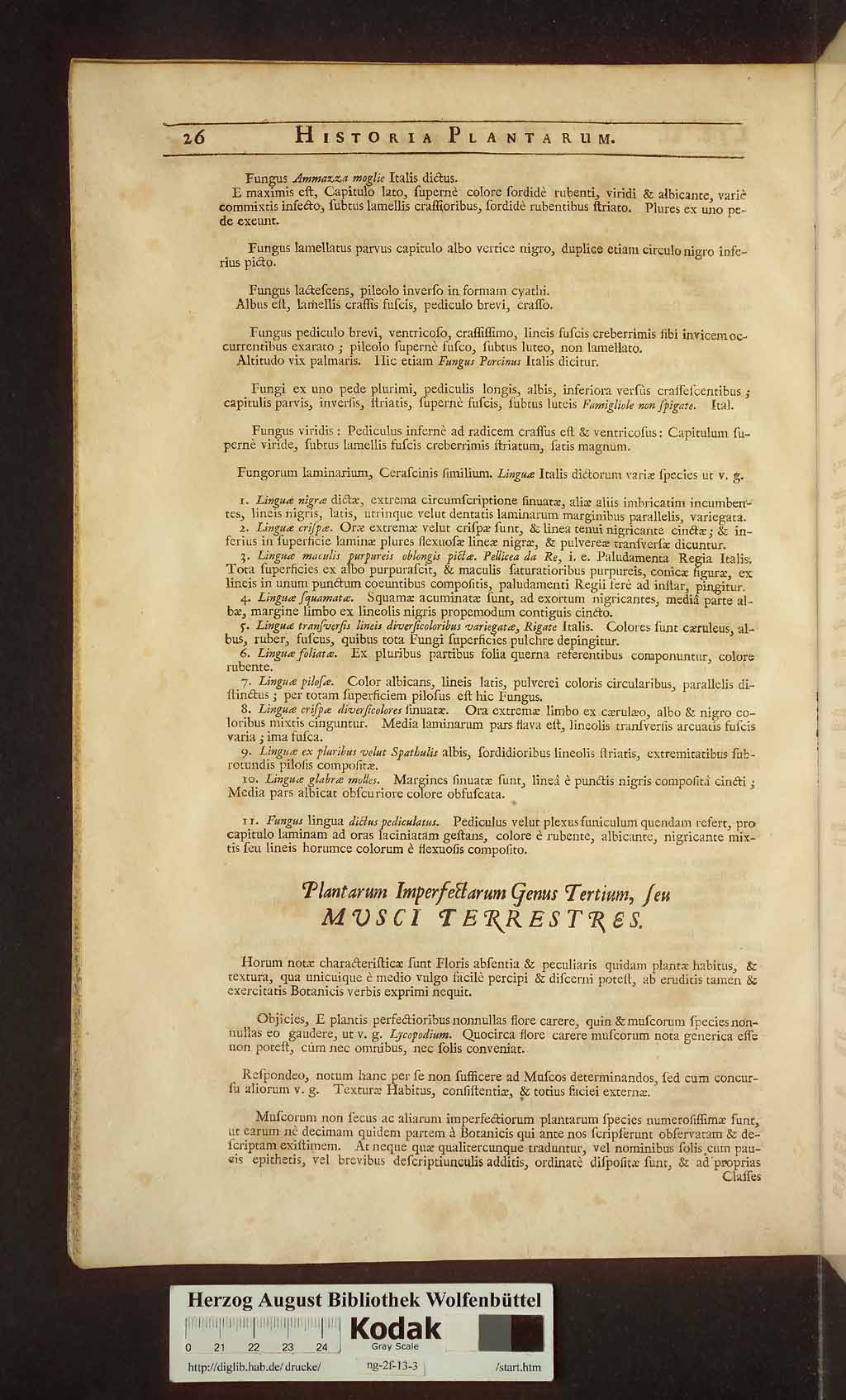 http://diglib.hab.de/drucke/ng-2f-13-3/00042.jpg