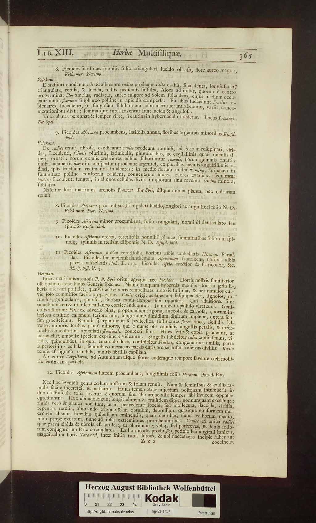 http://diglib.hab.de/drucke/ng-2f-13-3/00379.jpg