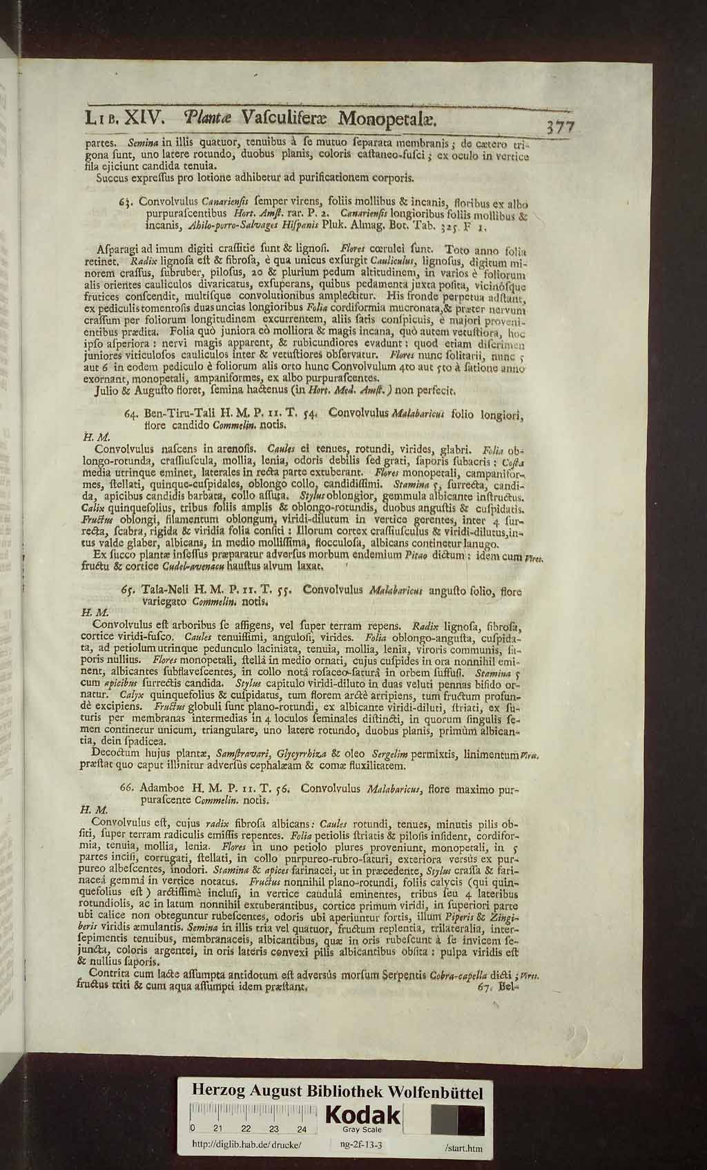 http://diglib.hab.de/drucke/ng-2f-13-3/00391.jpg